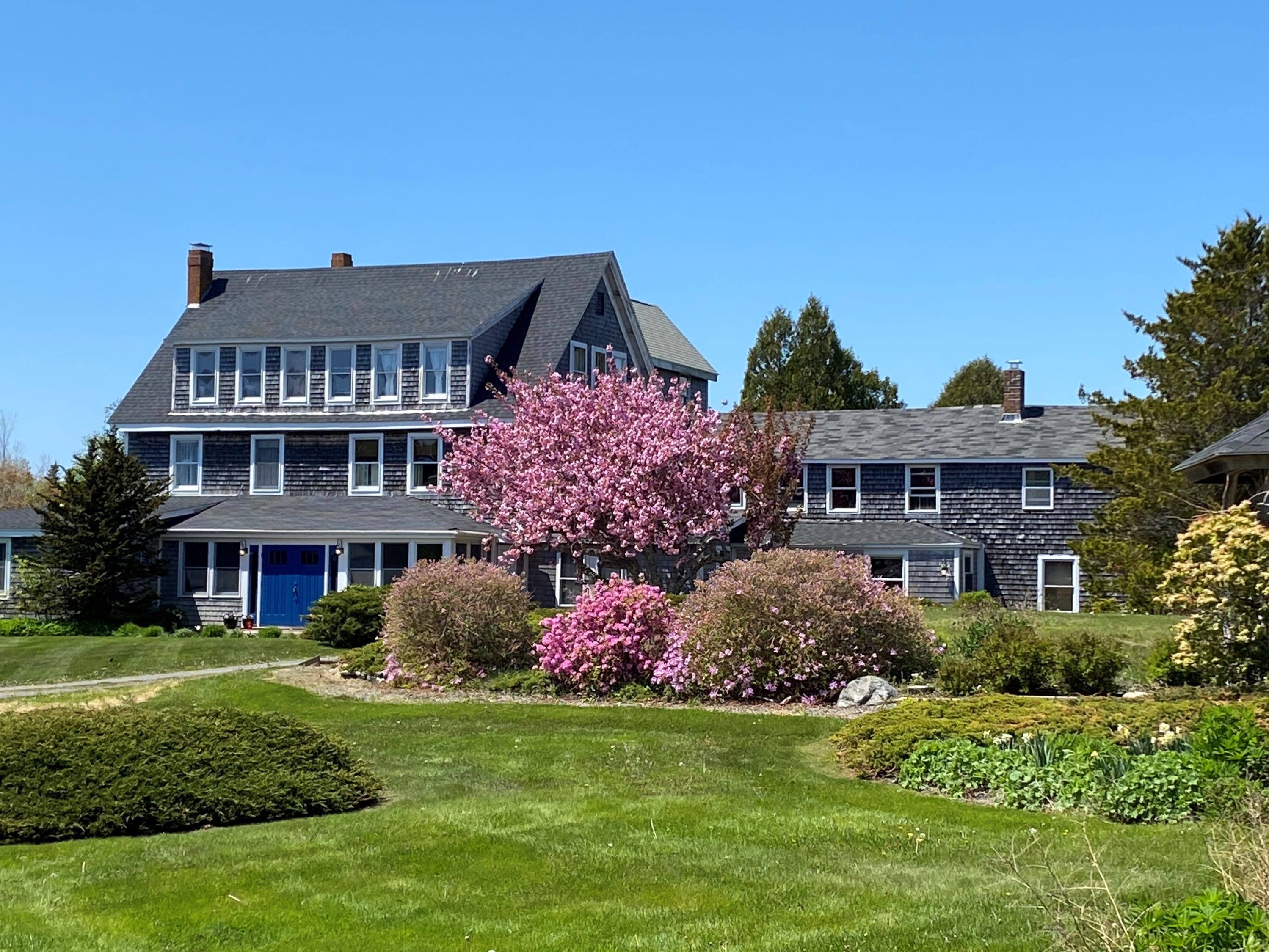 The Bradley Inn in the spring with beautiful flowering tree in full pink bloom