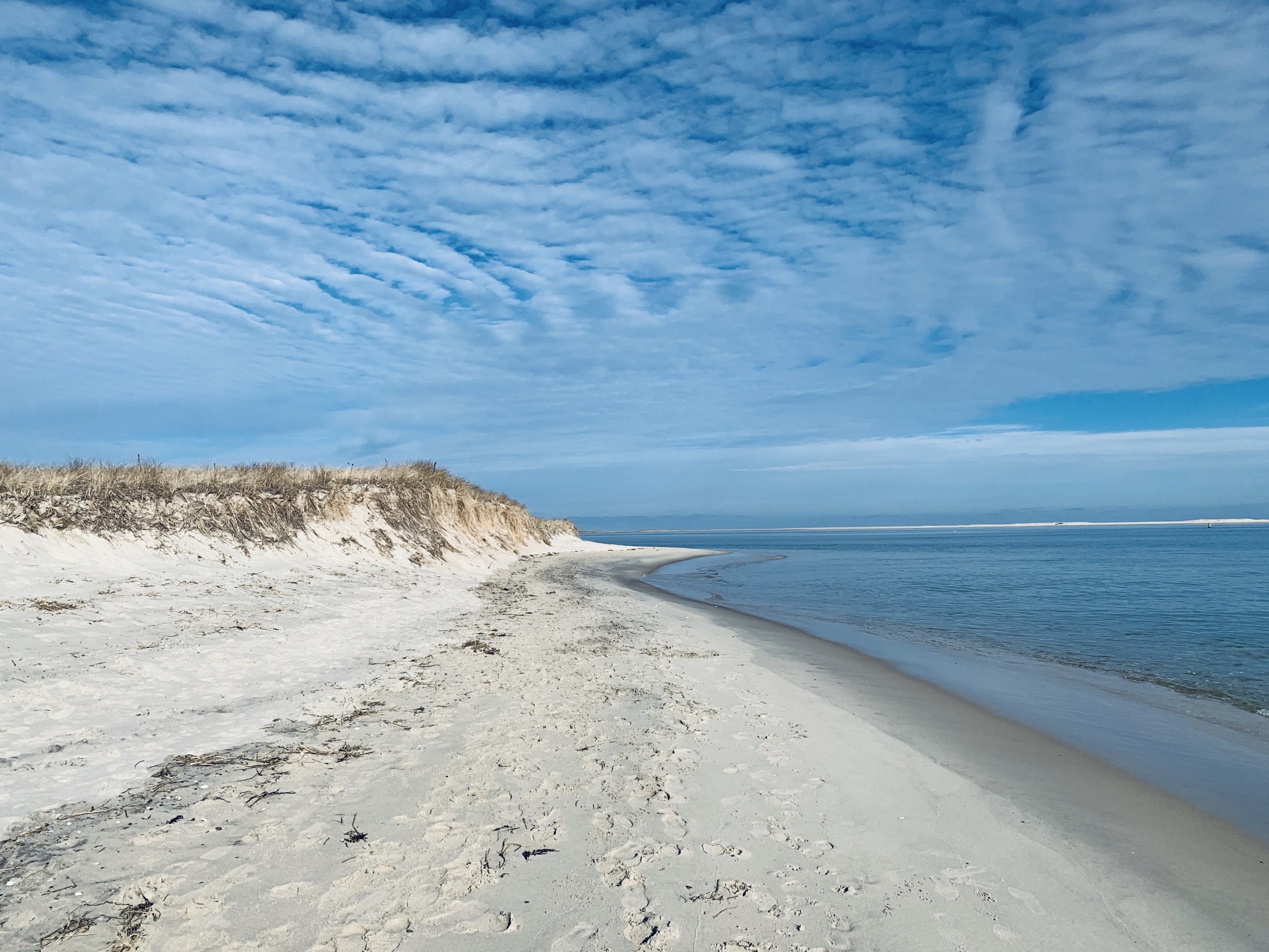 Beach Photo