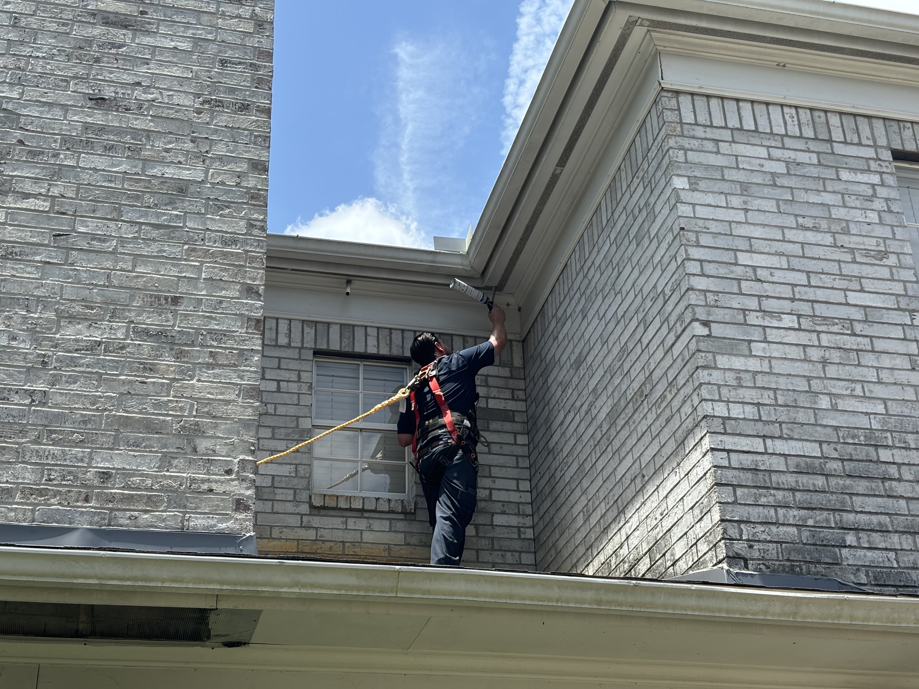 Rat exterminator near Katy, TX