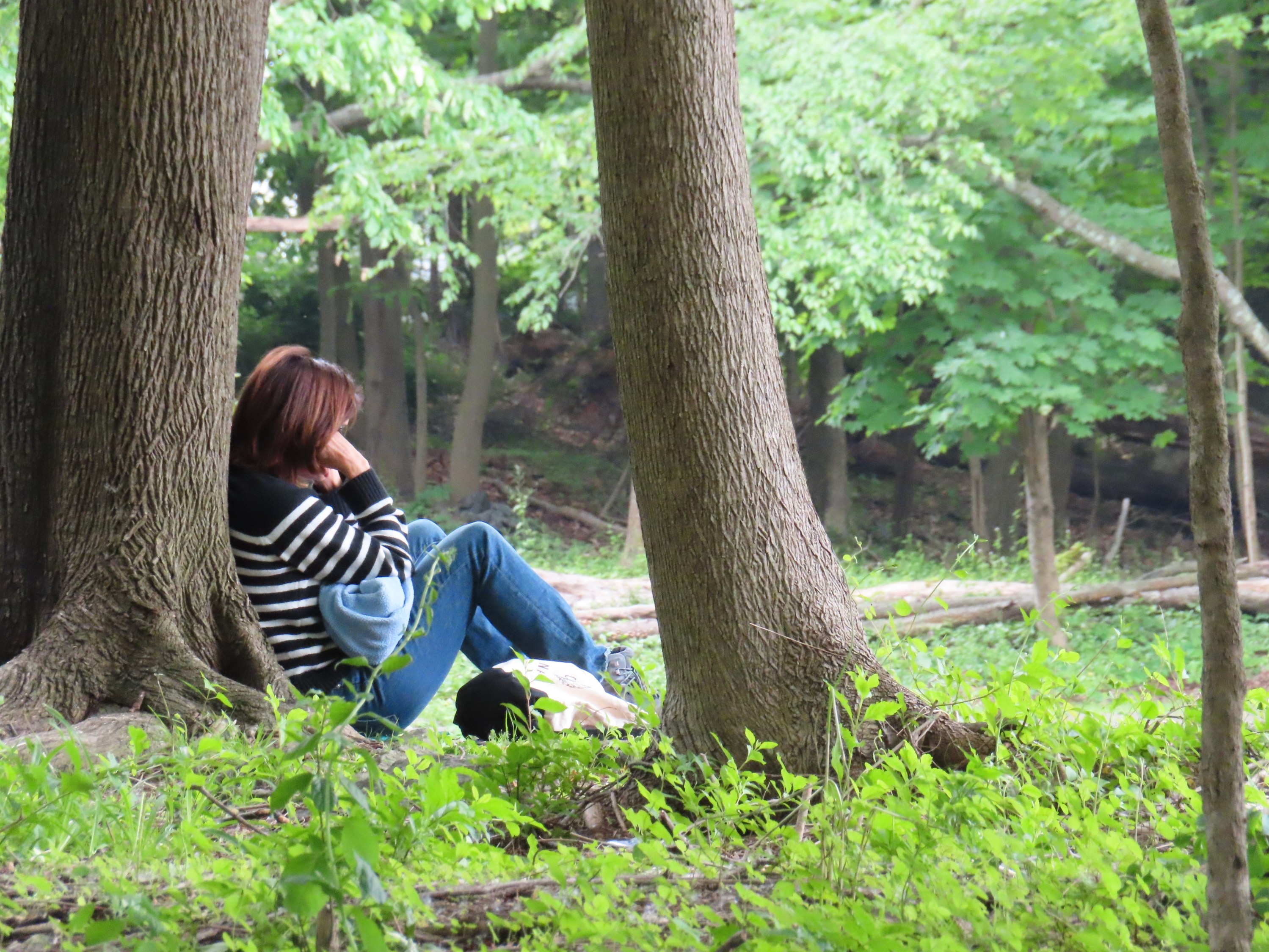 woman sitting on the ground against a tree at Sheldrake
