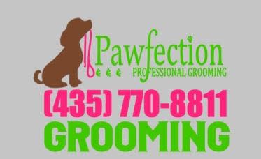 Pawfection Prof. Grooming