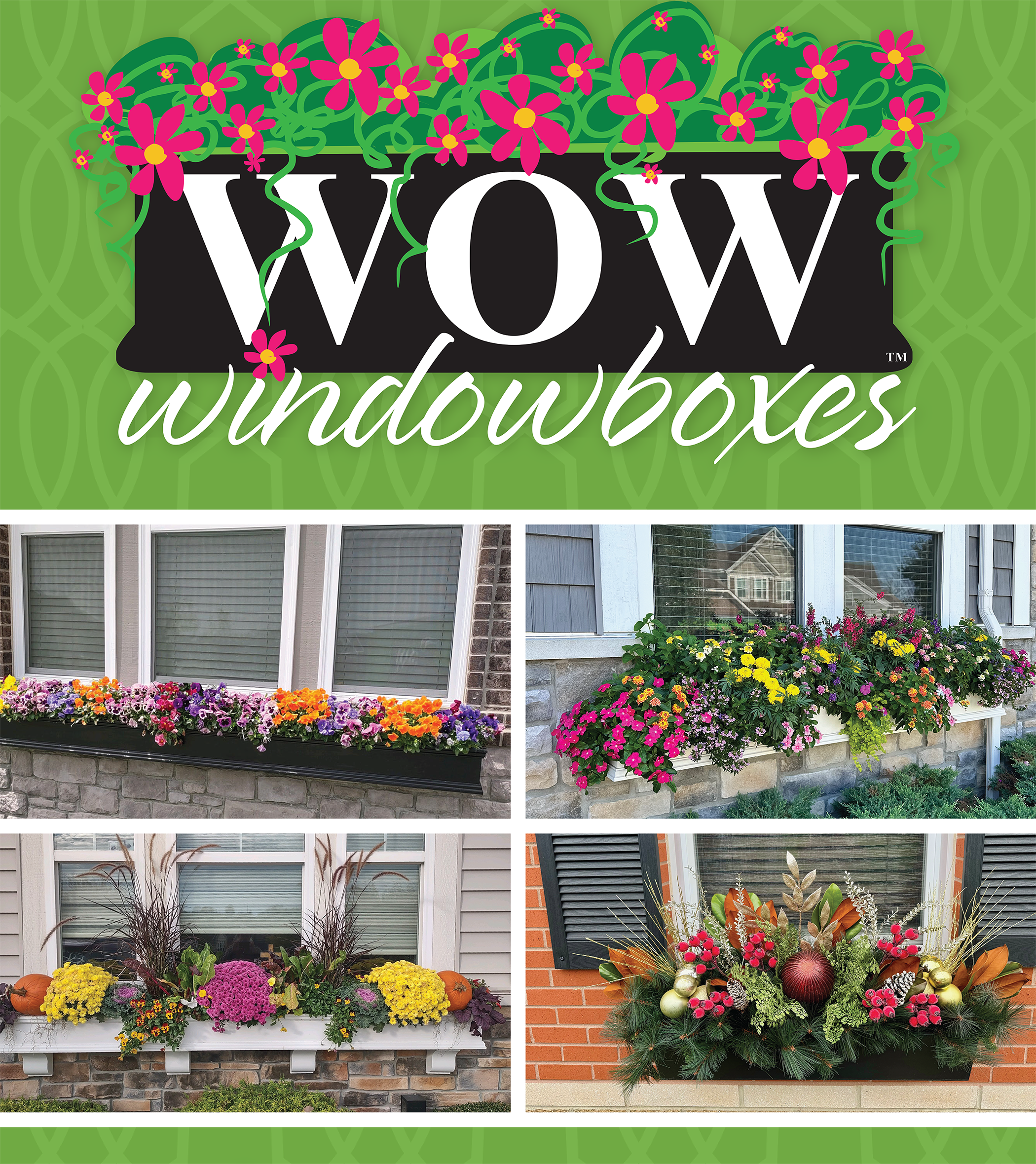 Wow Windowboxes
