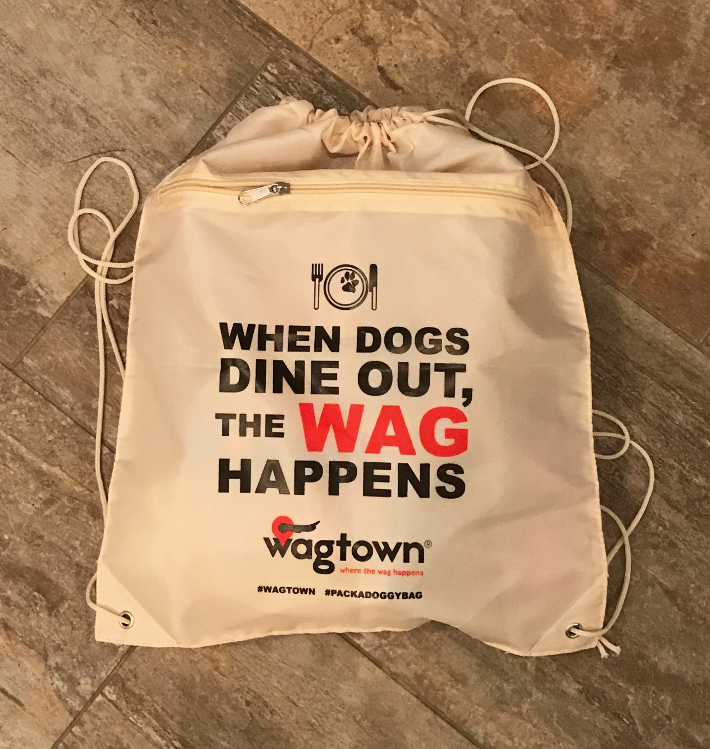 Wagtown campaign about responsible and enriching outings with your dog.