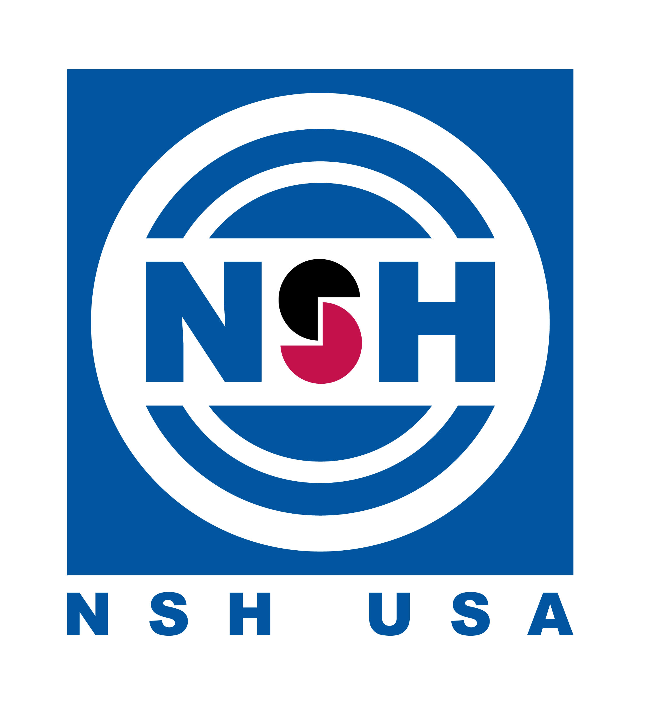 NSH USA Corporation logo - Albany, New York
