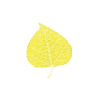 Aspen Country Fence logo