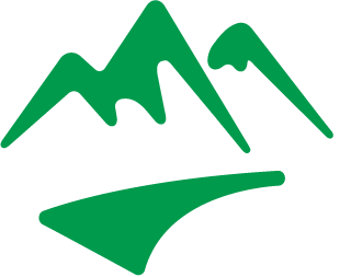 Green stylized mountain path logo for Security Journey