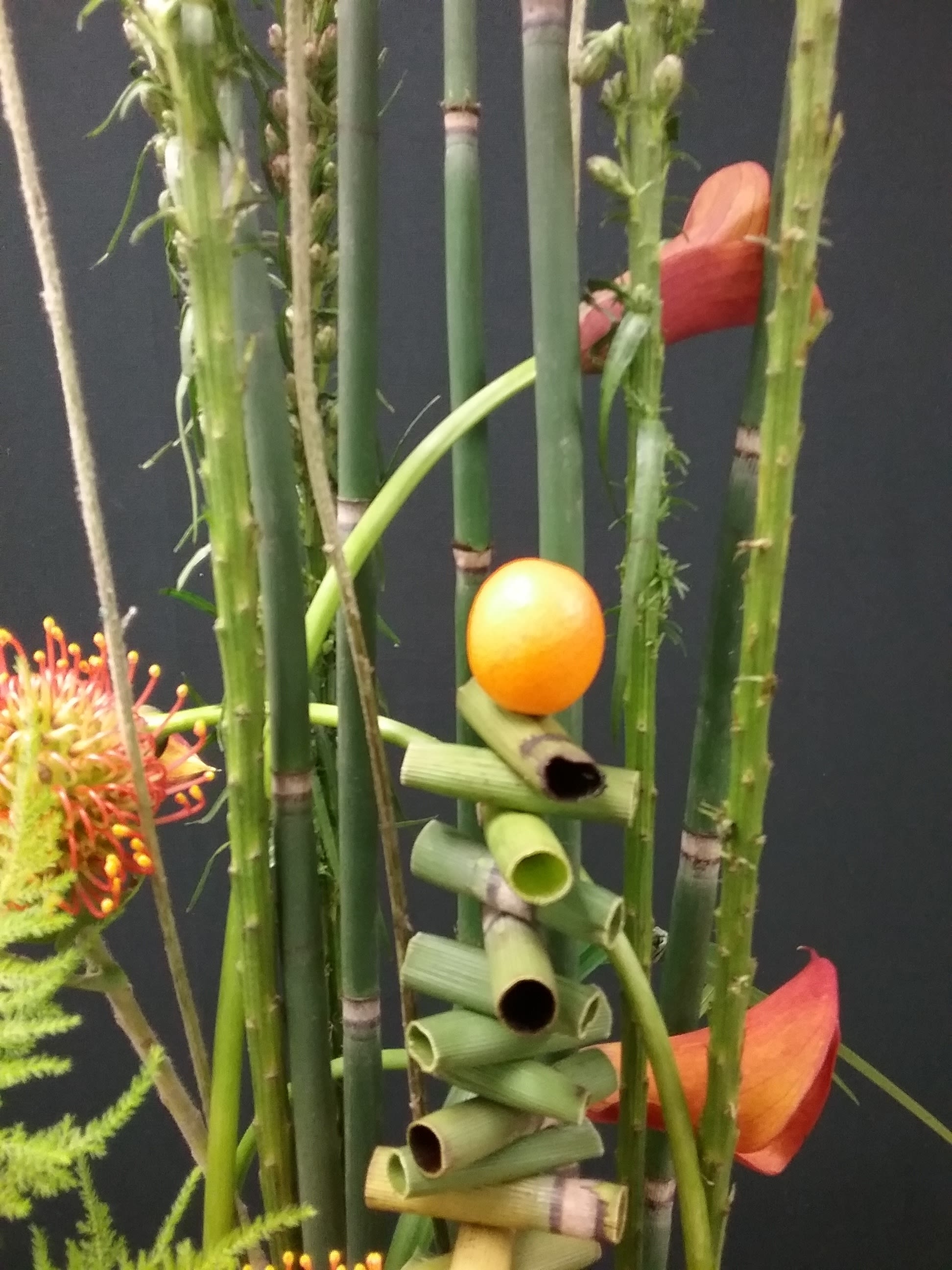 J. Keith White Arrangement 2