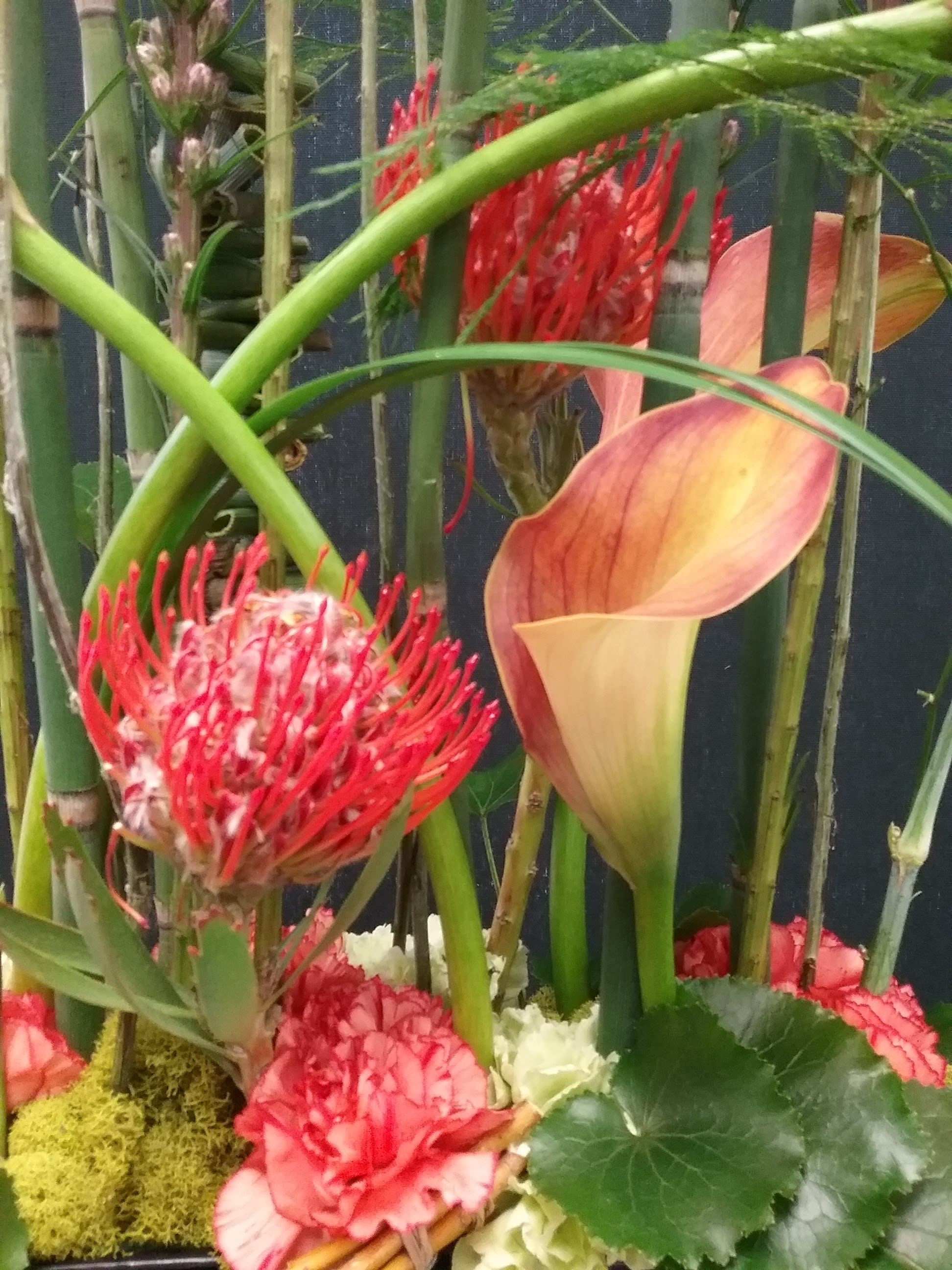 J. Keith White Arrangement 3