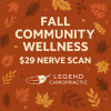 Legend Chiropractic Excelsior Fall Community Wellness Special – $29 neurologic nerve scan for new patients in Excelsior, Shor