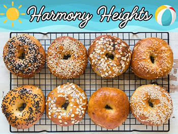 Harmony Heights Info Session
