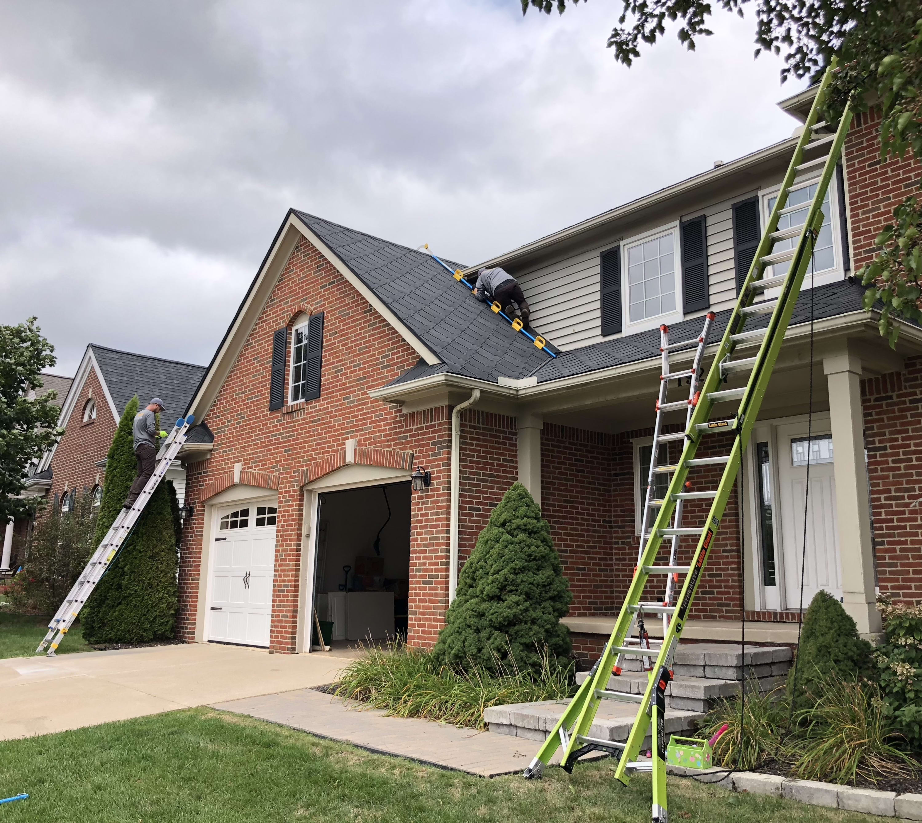 rodent control services plymouth michigan