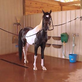 Equine Wash Bay Drain