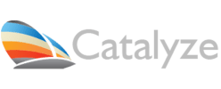 Catalyze Associates Leadership Development and Executive Coaching