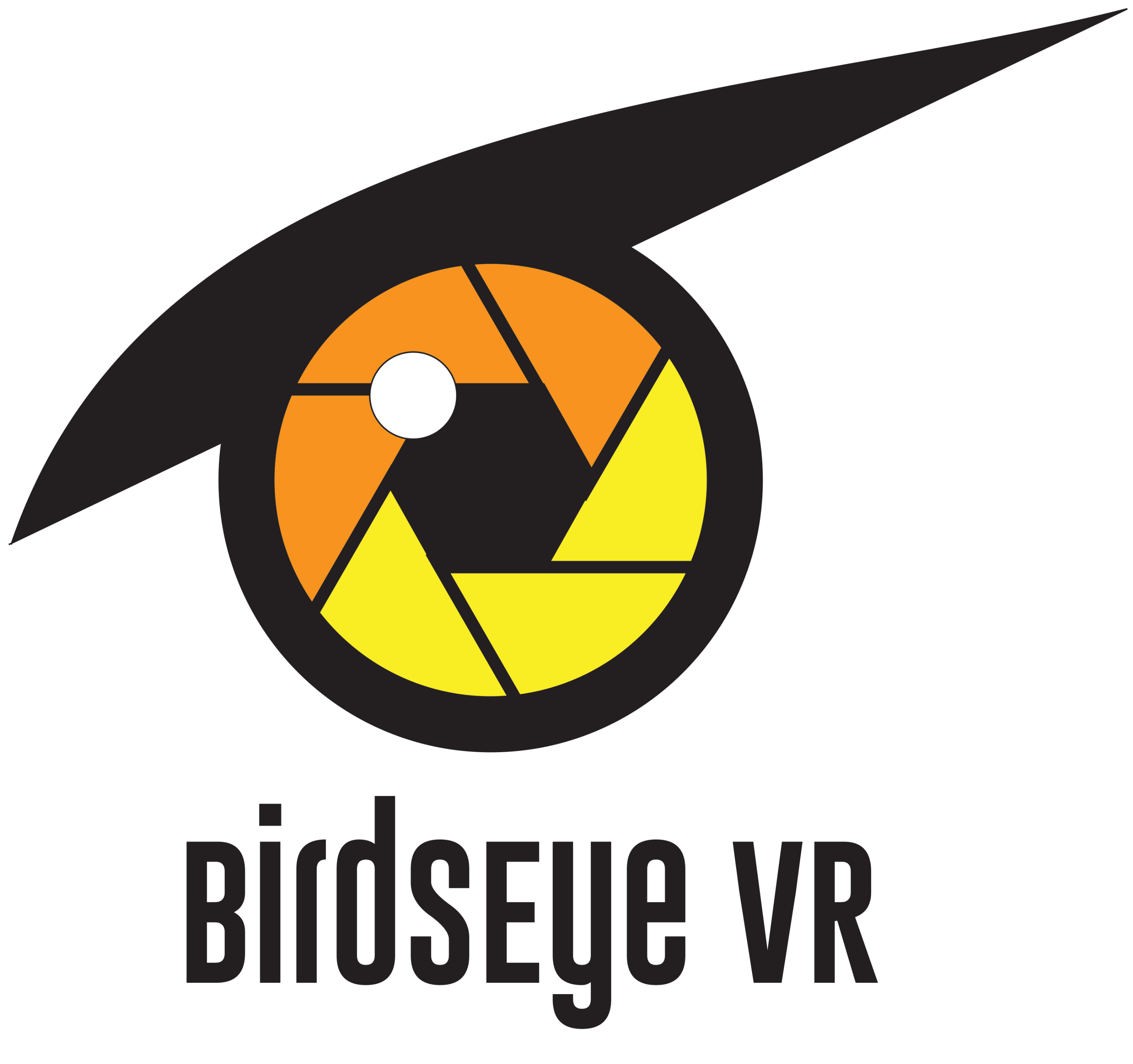 BirdsEye VR Logo