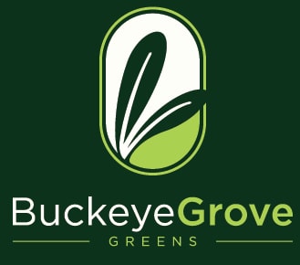 Buckeye Grove