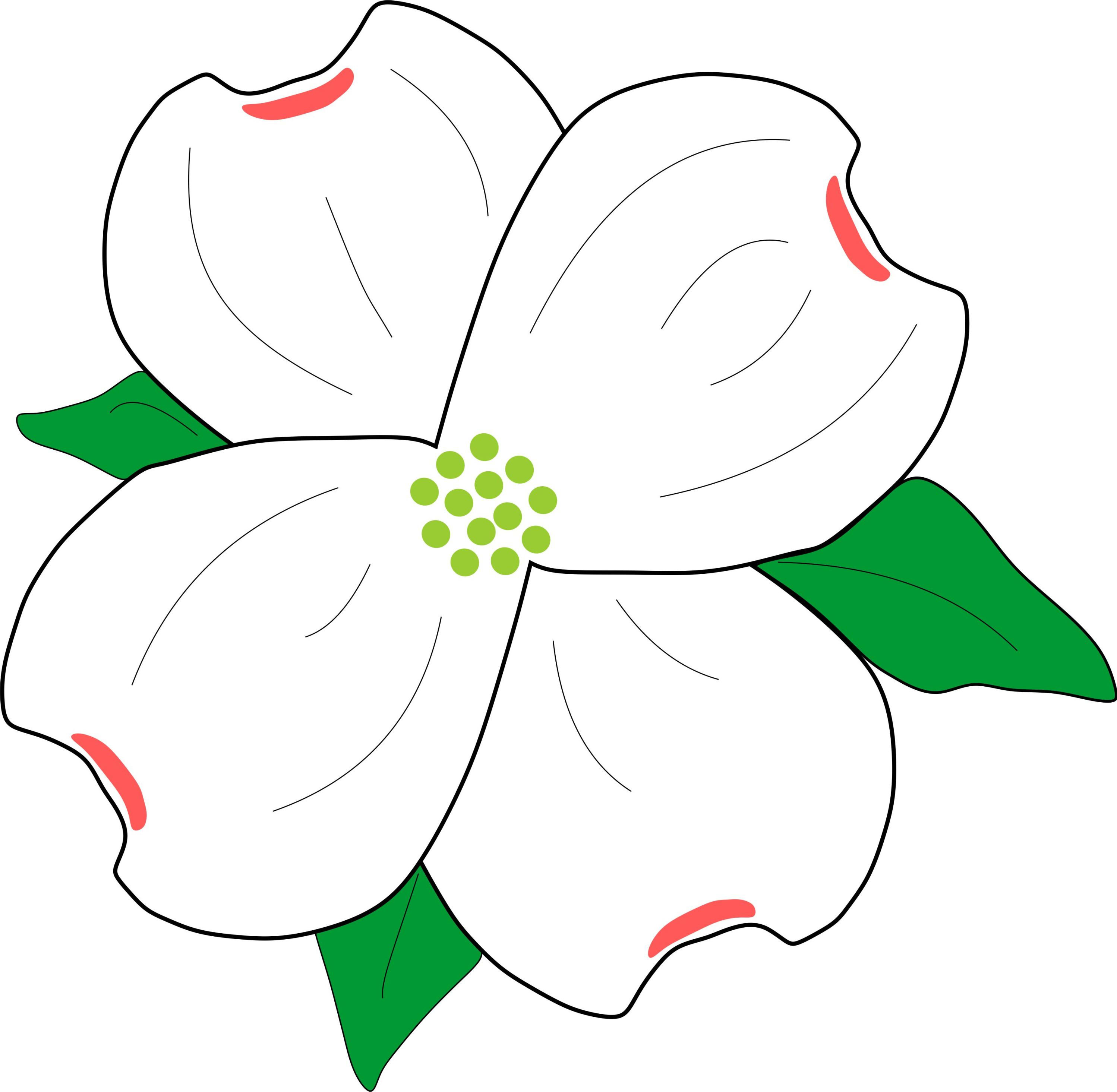 Dogwood logo