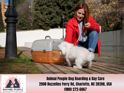 Dog Boarding and Training Before Fall: Smart Choice While You are Away