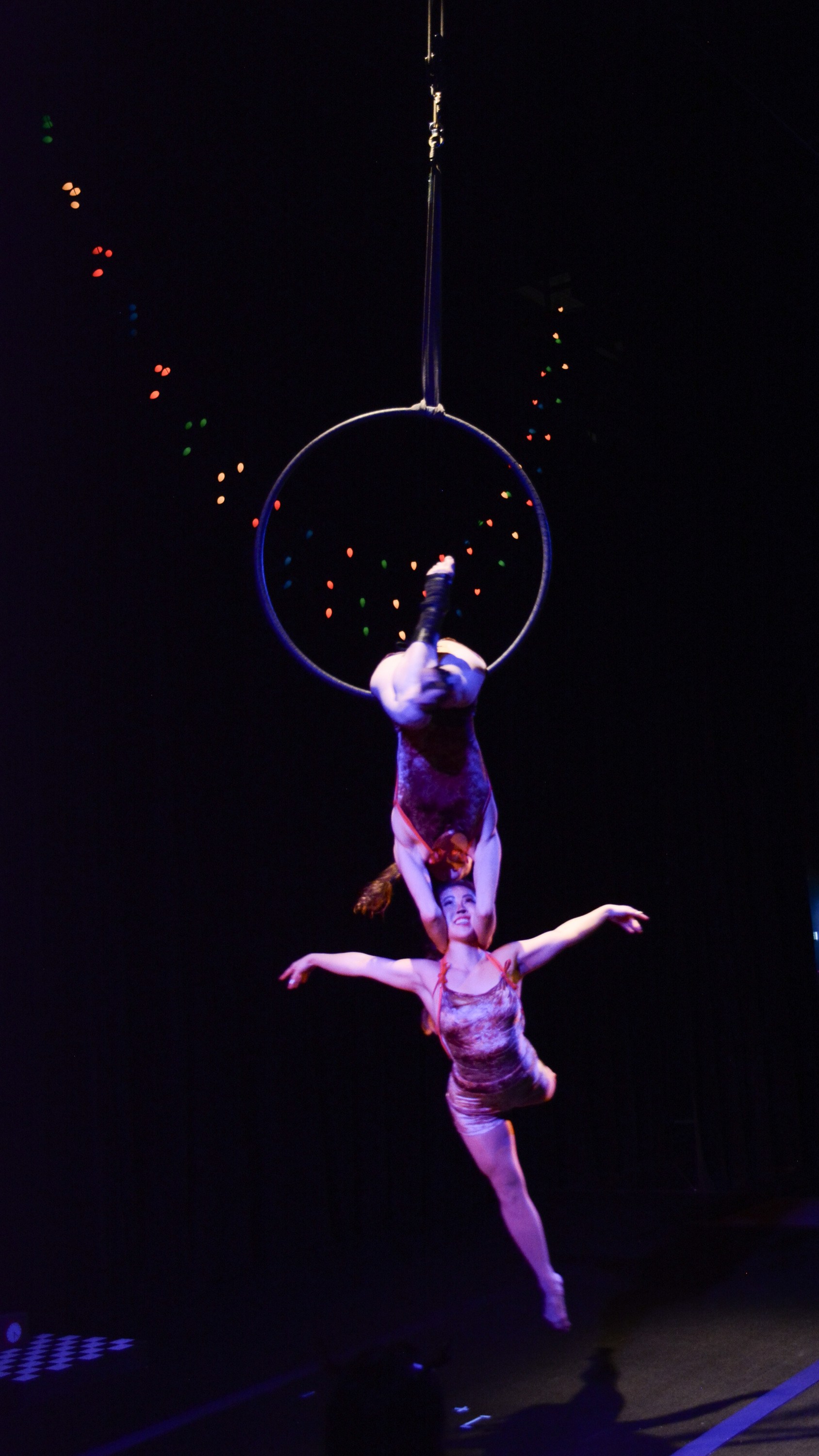 Aerial Hoop Artists.