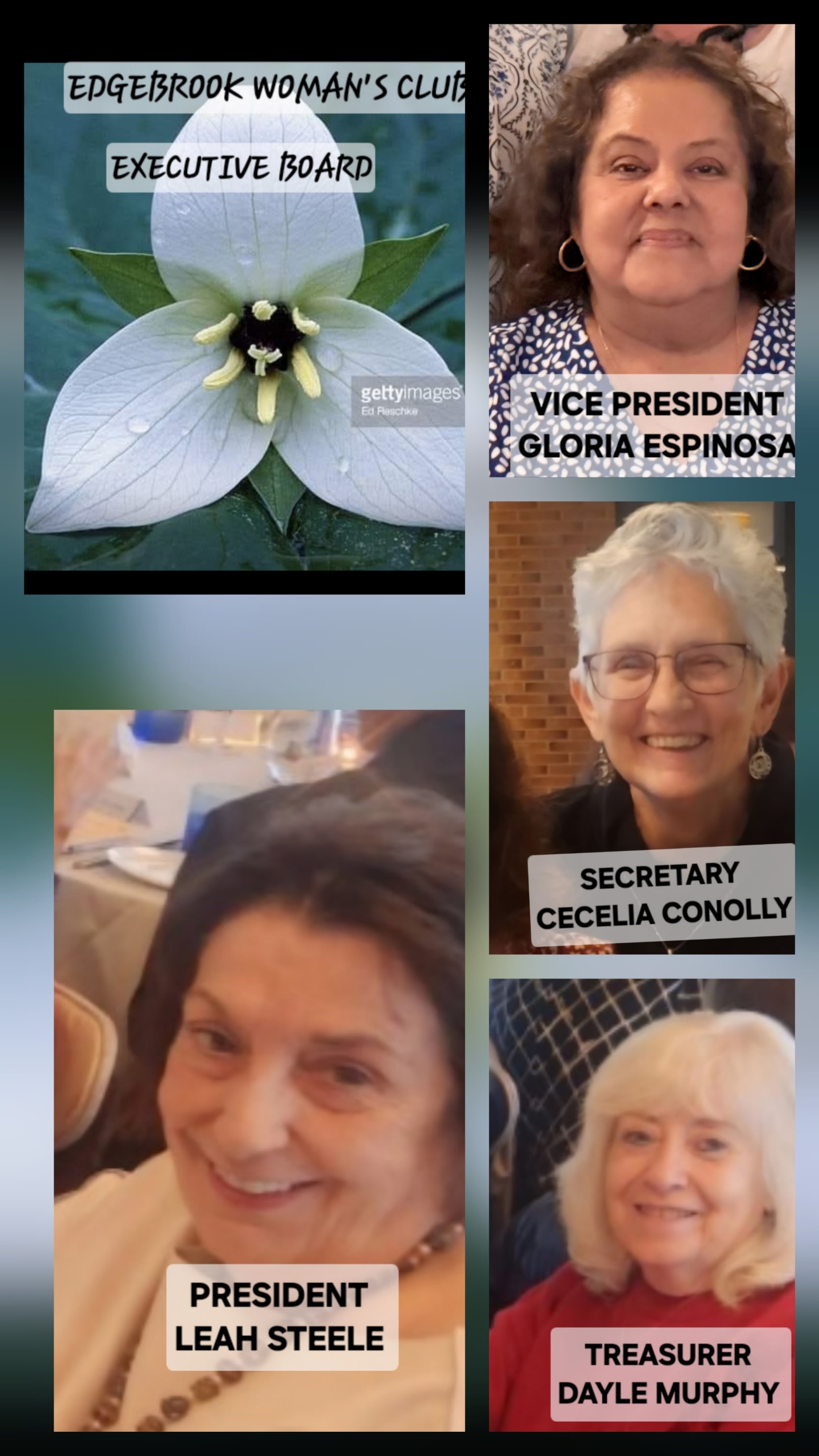 EXECUTIVE BOARD