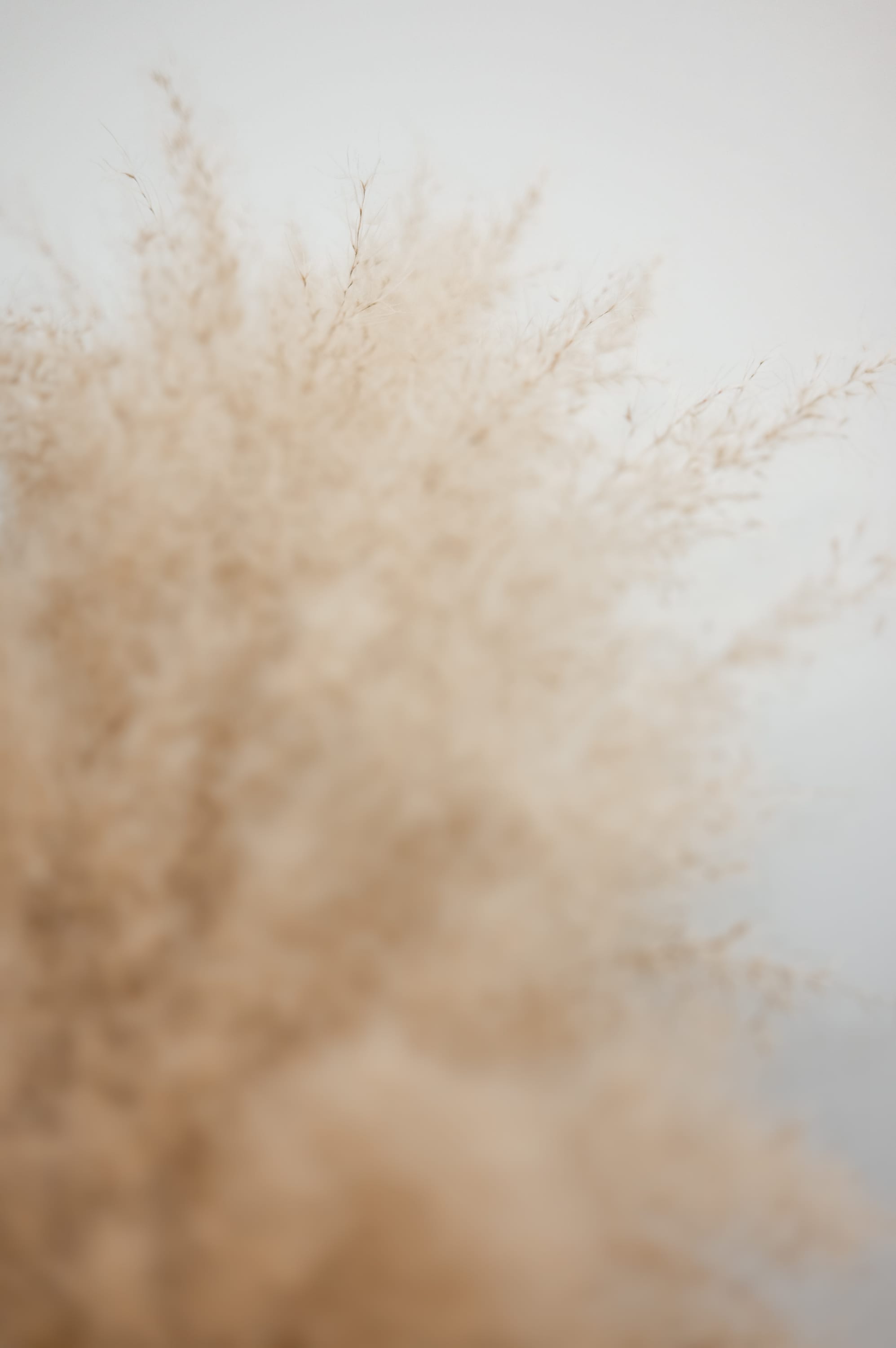 Magnolia Counselling & Co. Office