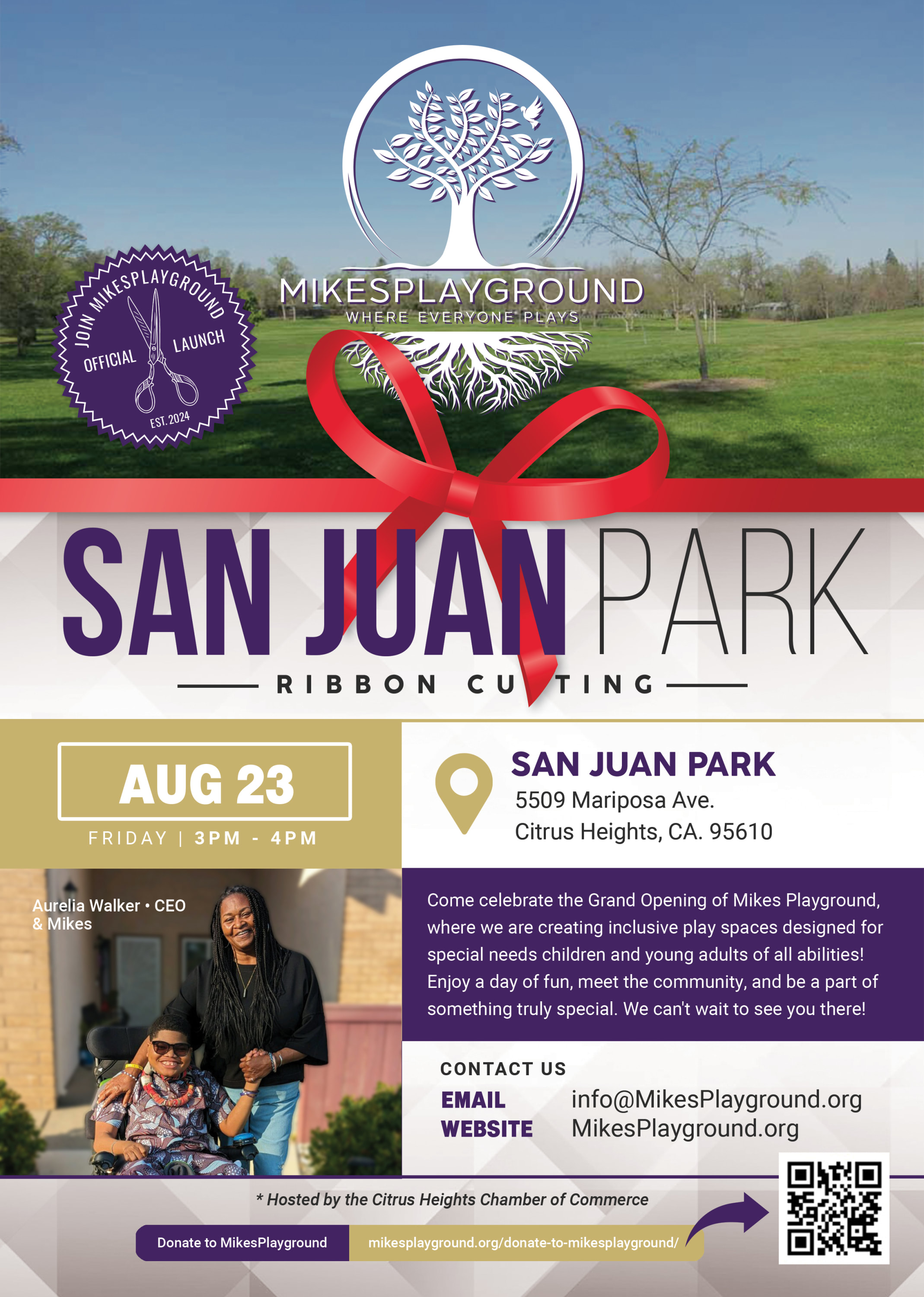 Mikes Playground Ribbon Cutting Flyer