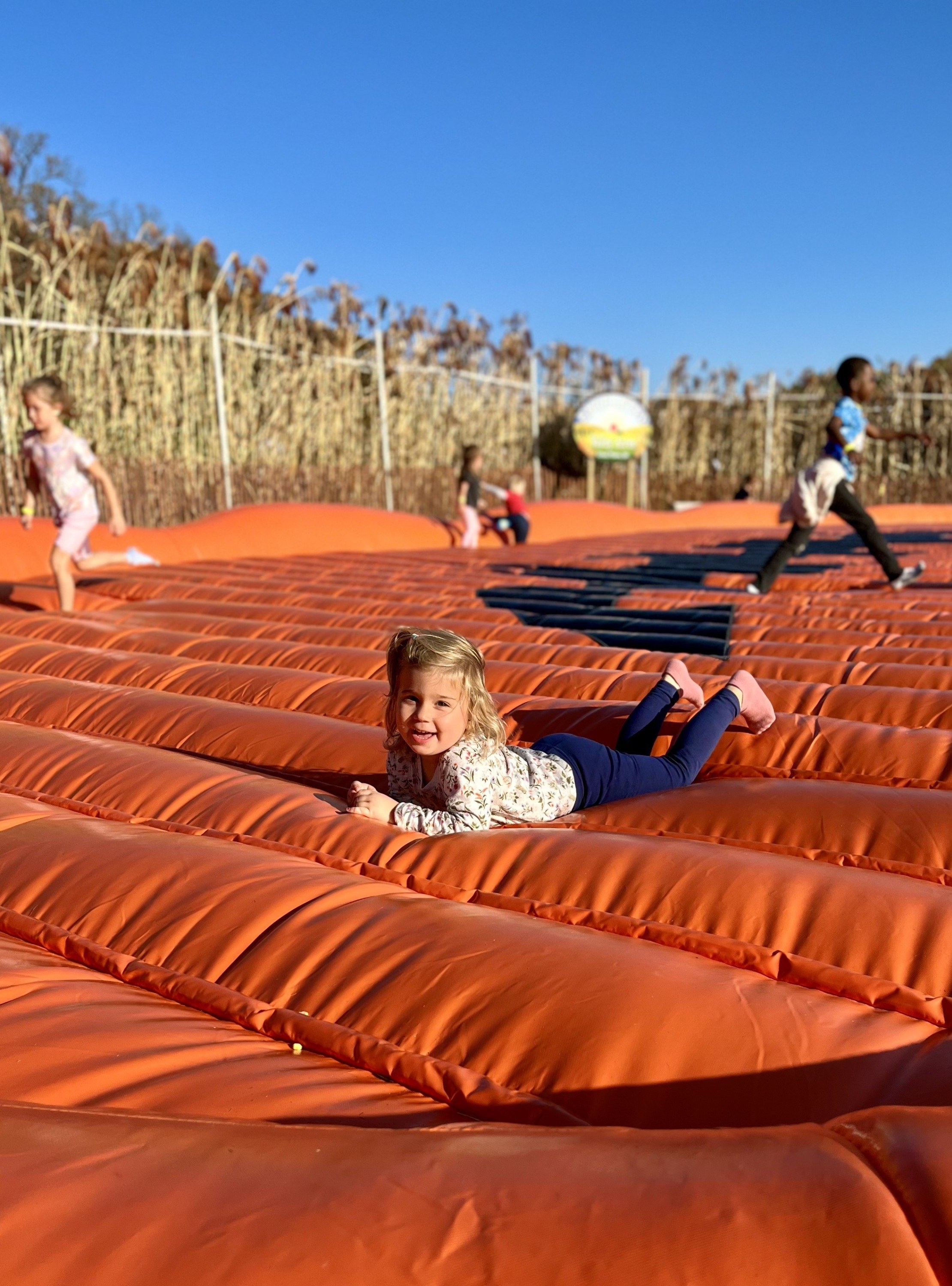 Jump on the 2 Giant Pumpkin Jump Pads!