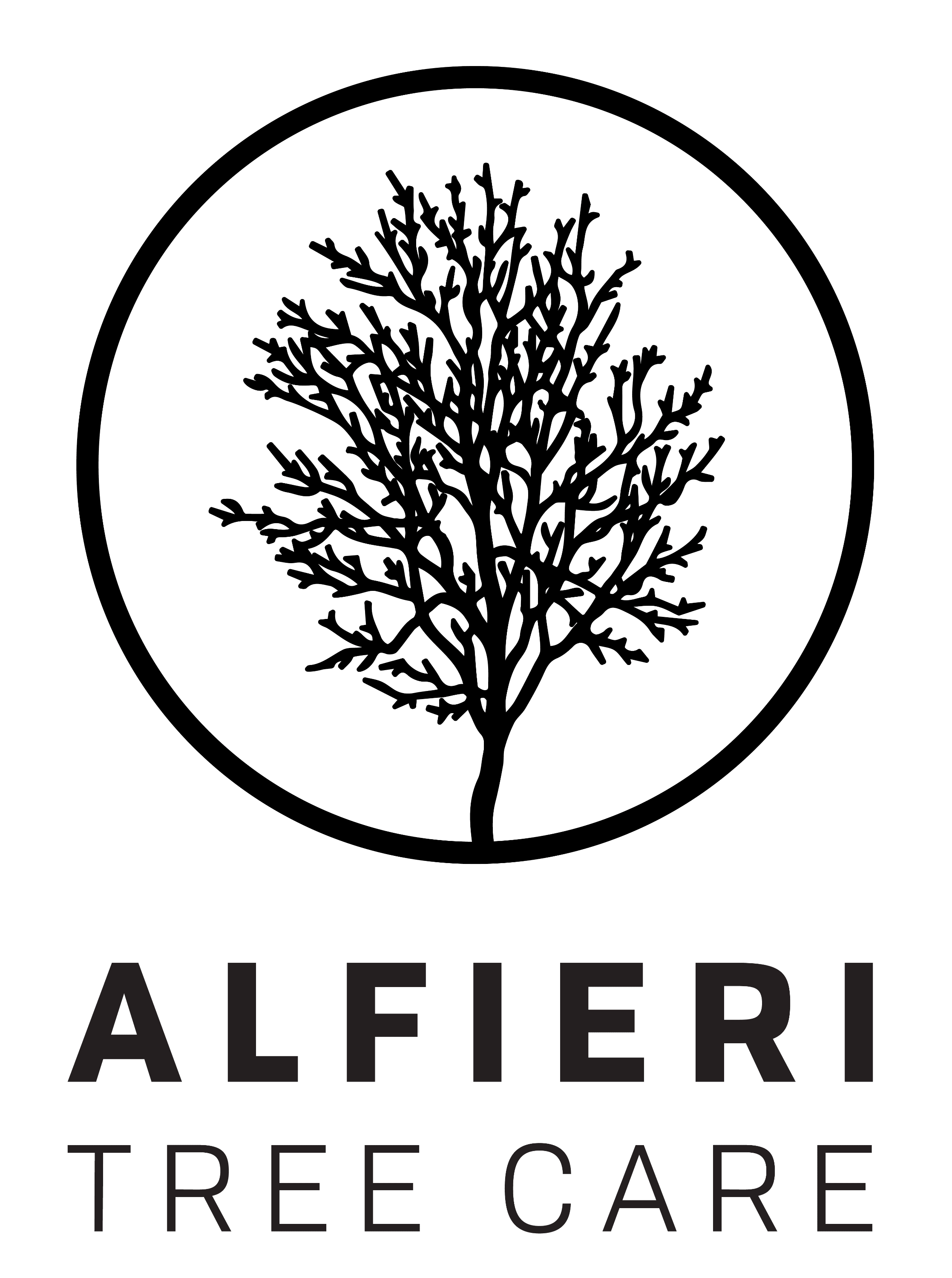Cape Cod Tree Service | Alfieri Tree Care