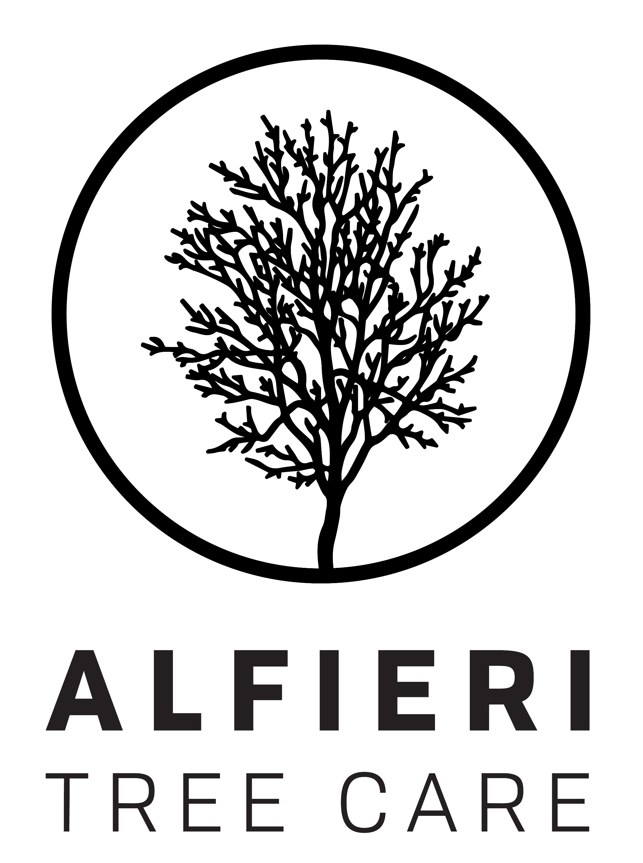 Cape Cod Tree Service | Alfieri Tree Care