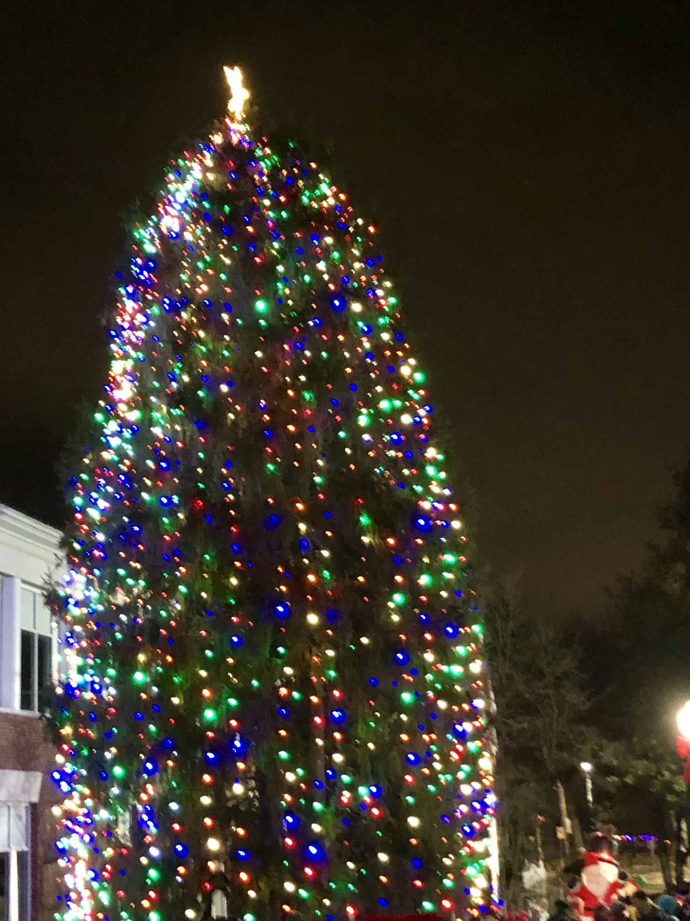Christmas Tree Lighting 2025