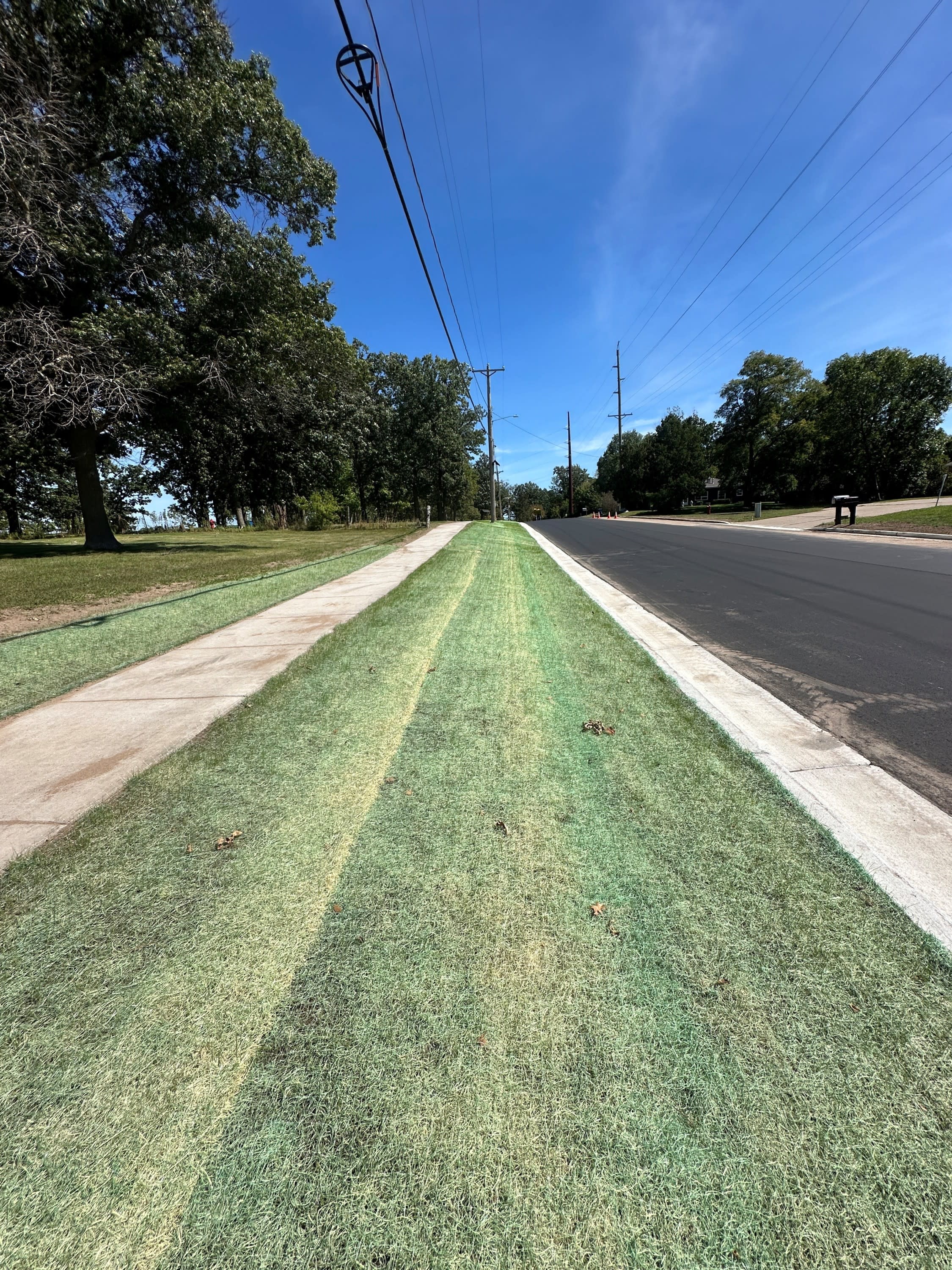 Curlex® QuickGRASS® early vegetation