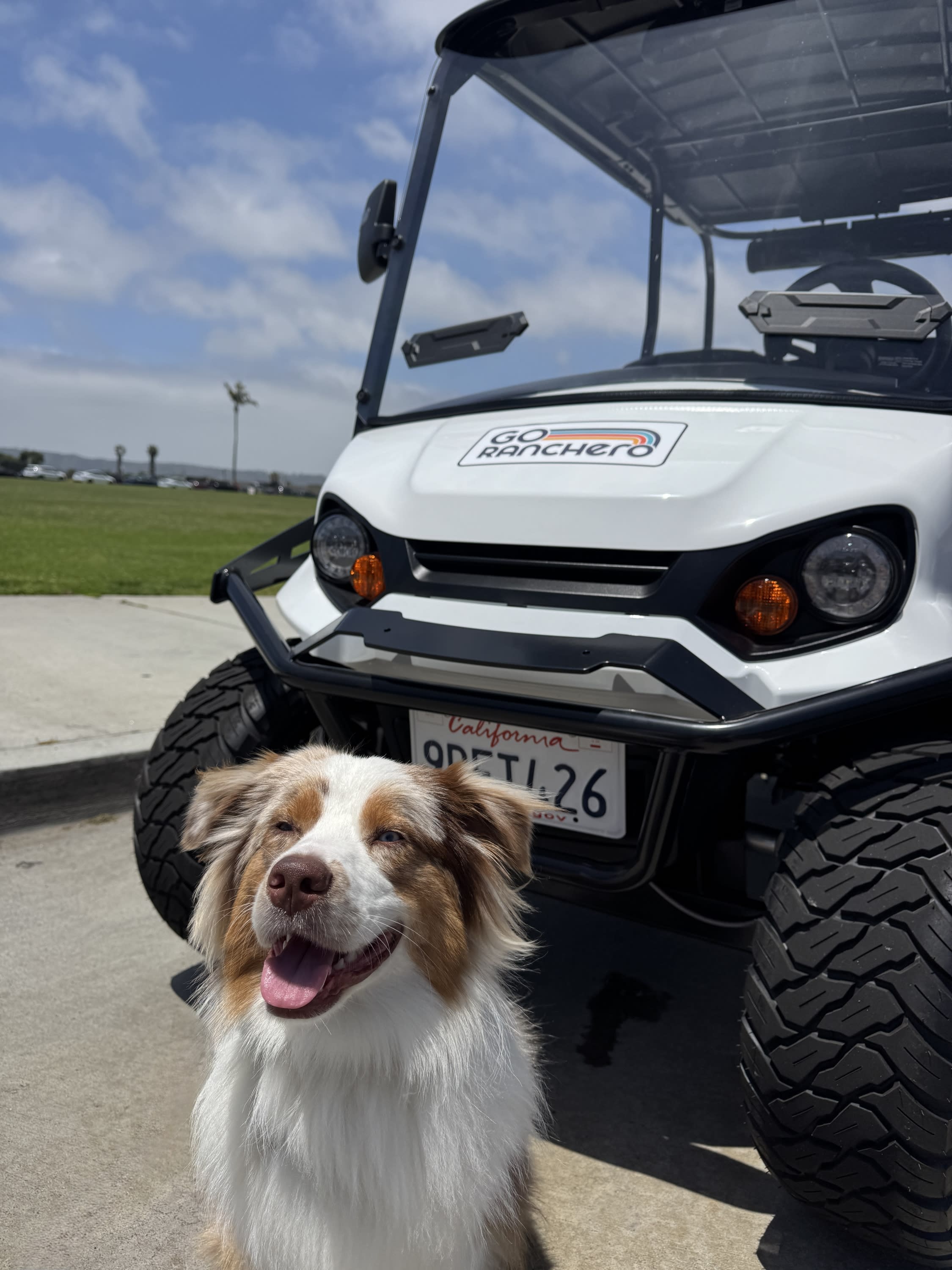Golf Cart Rentals Coronado