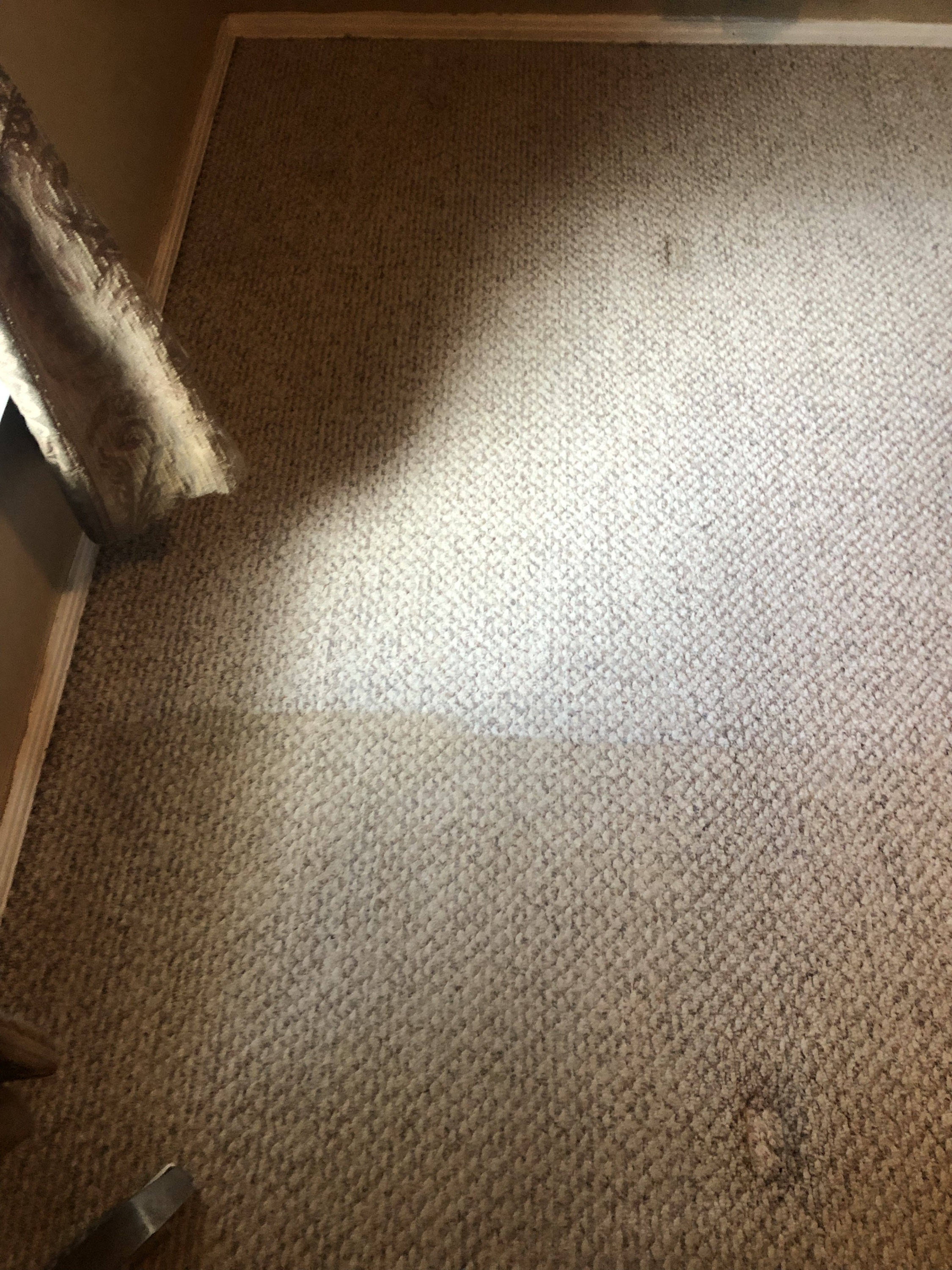 Professional Carpet Cleaning