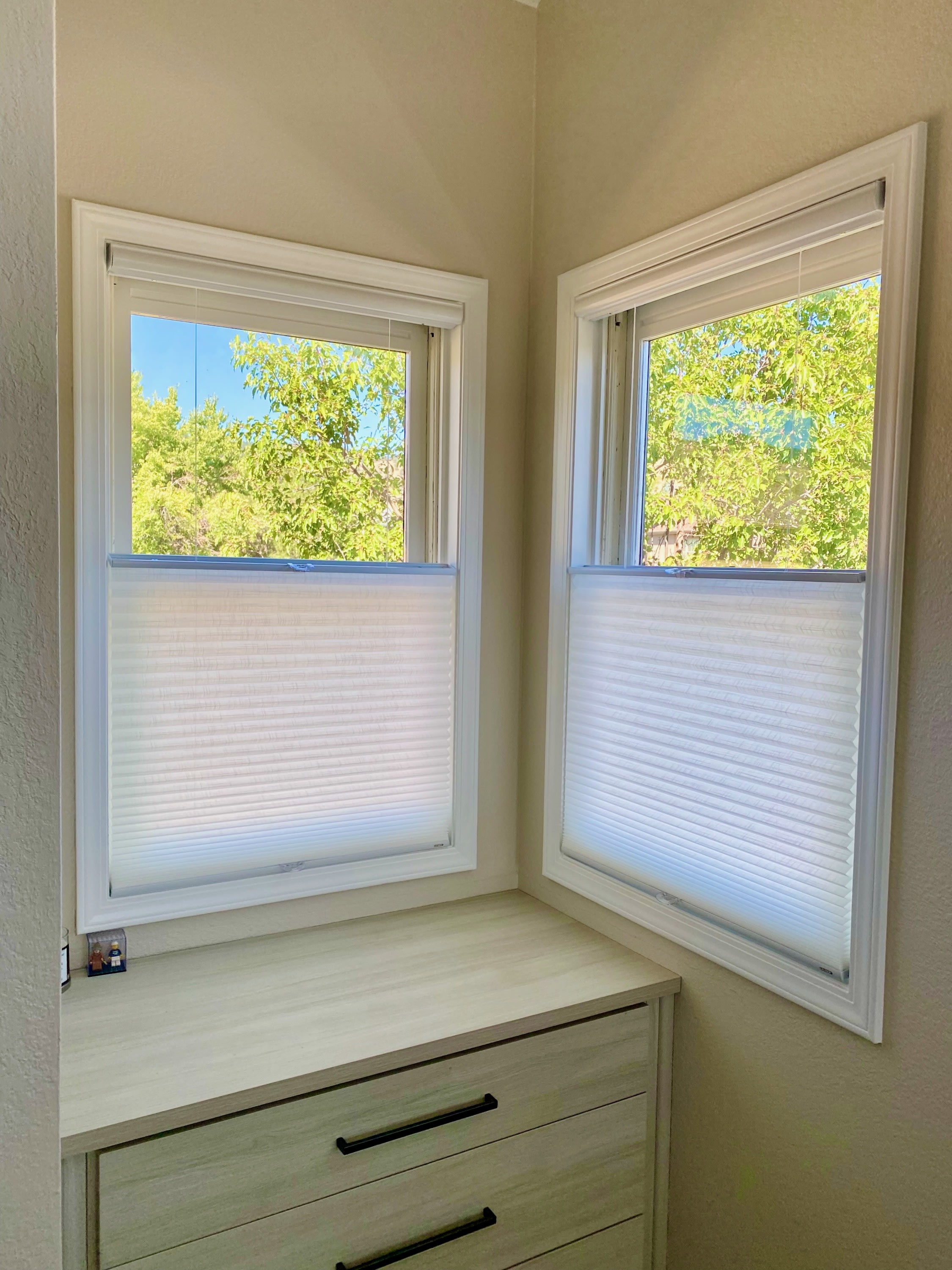 Bumble Bee Blinds Louisville CO - honeycomb cellular shades