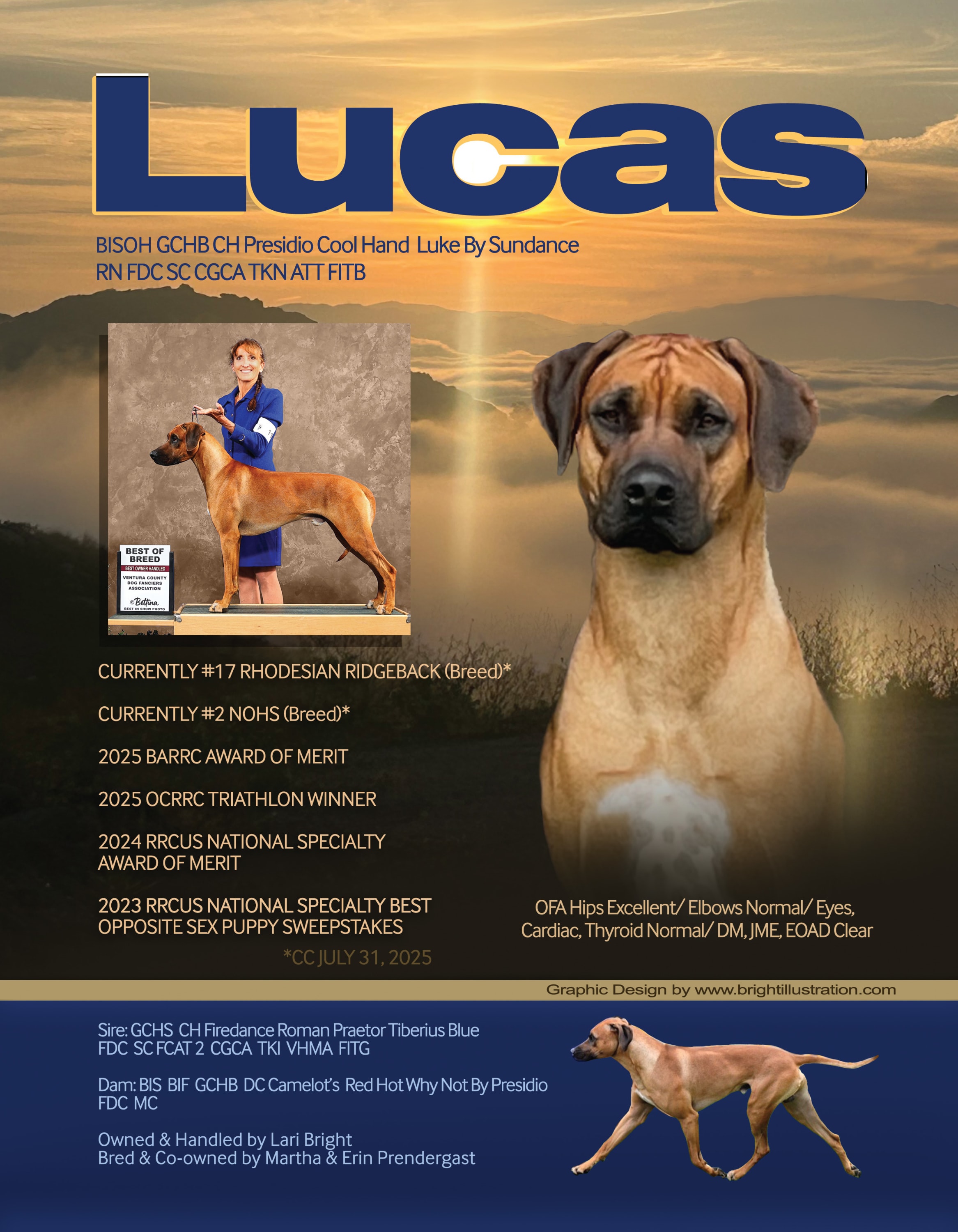 Magazine Ad Layout and Graphic Design