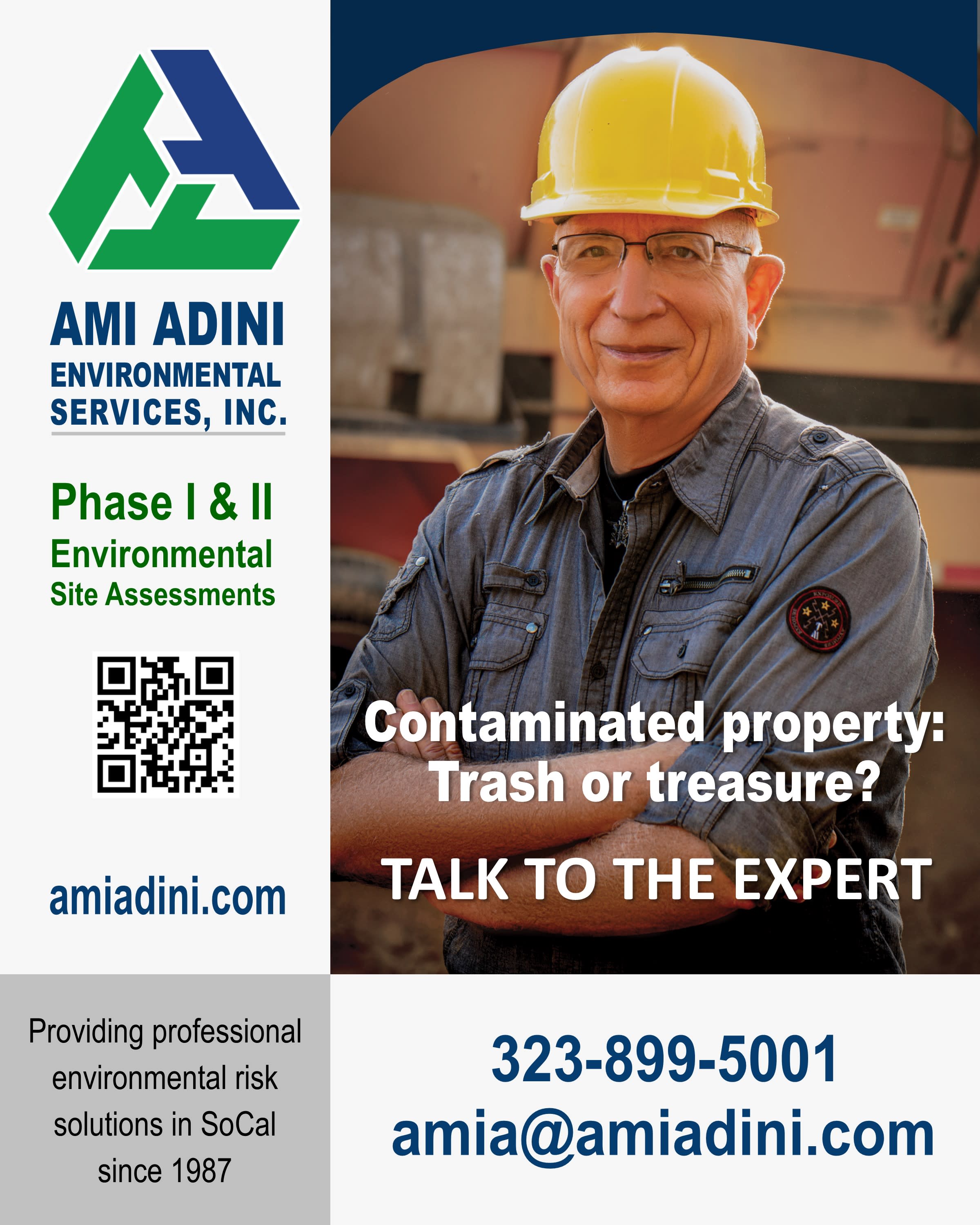 Ami Adini Environmental Services, Inc.