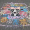 4th of July chalk drawing