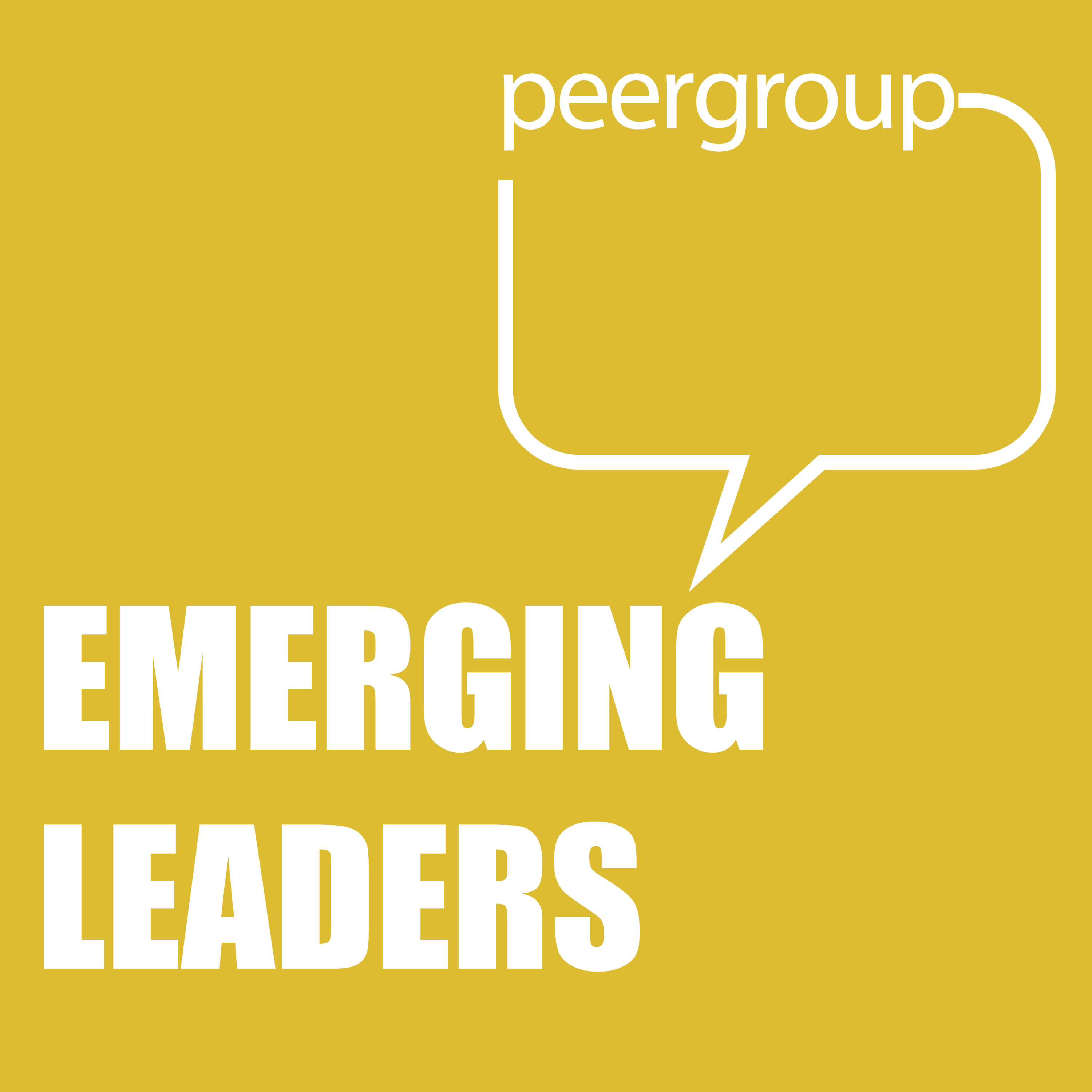 Emerging Leaders Peer Group