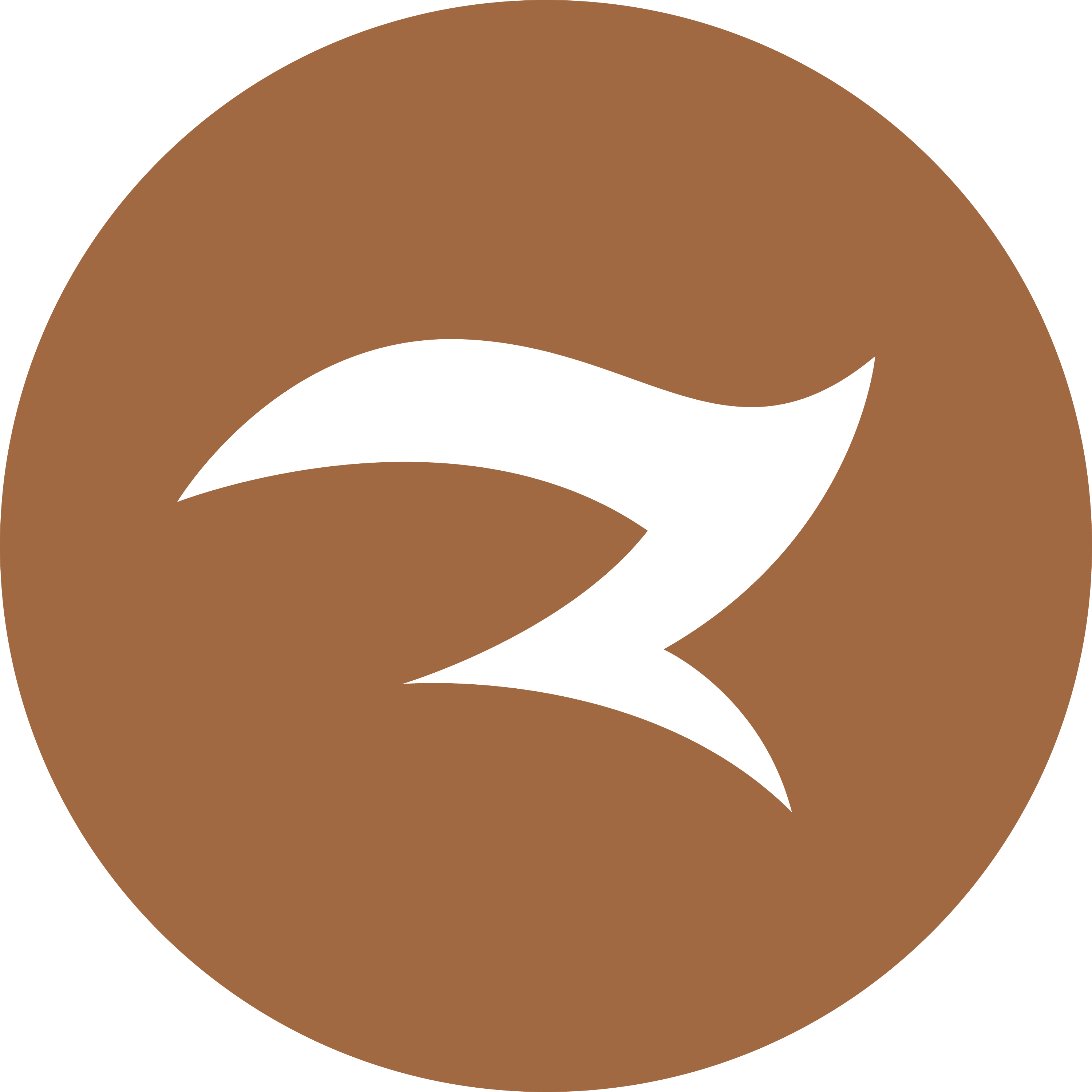 Zed+Zed+Eye Design