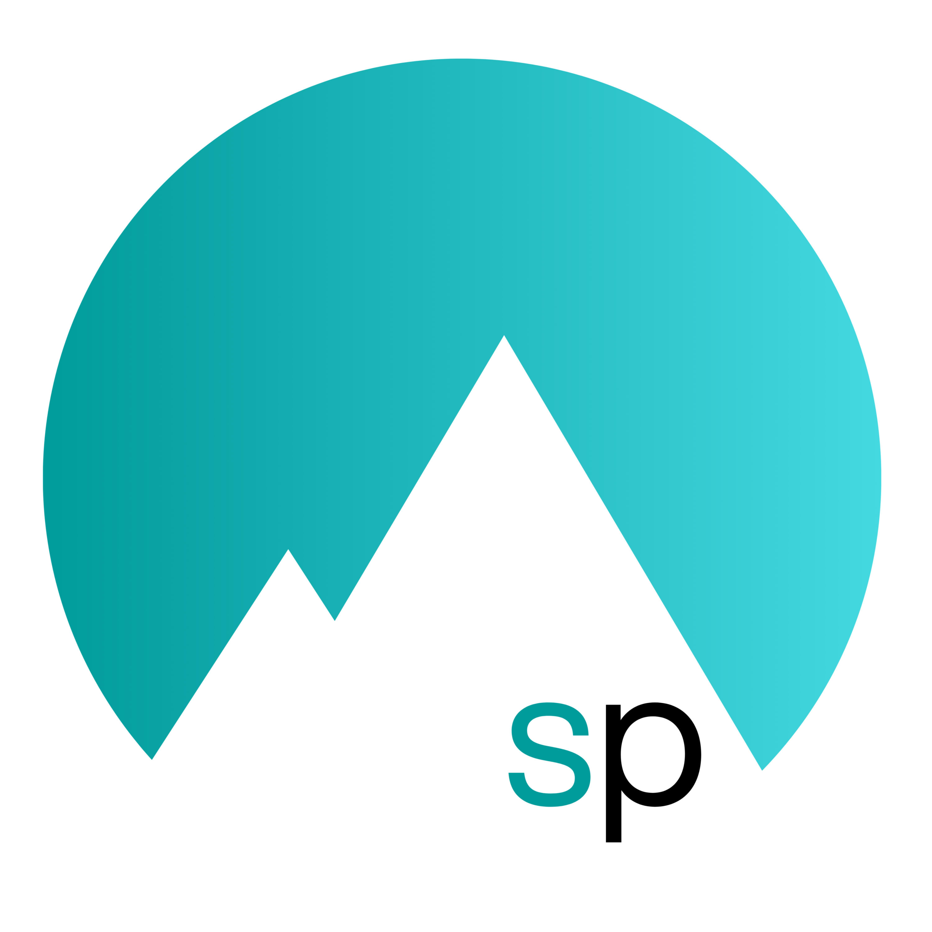 Salt Peak logo featuring a stylized mountain peak in aquamarine and navy blue, with a clean, modern design suitable for digit