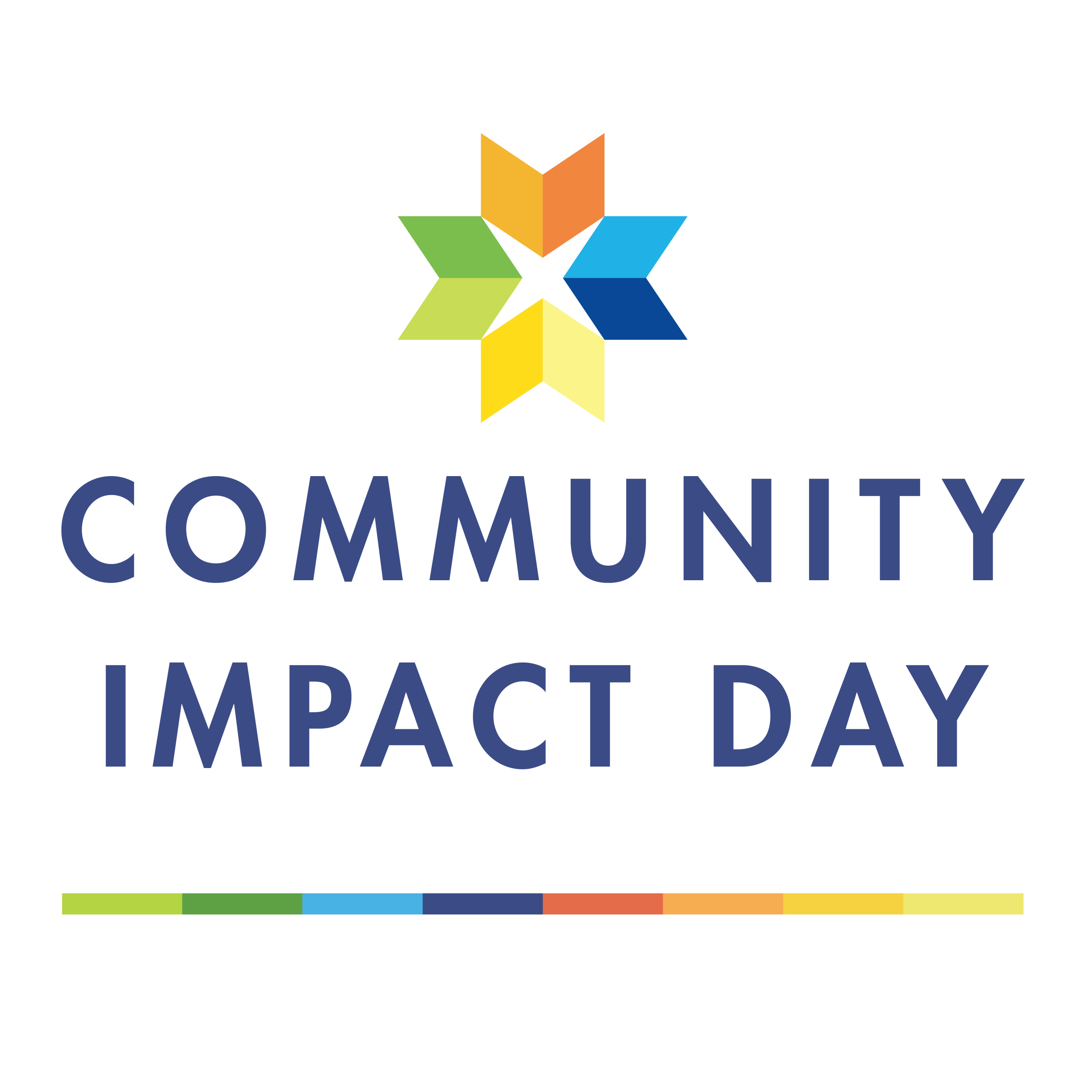 Community Impact Day