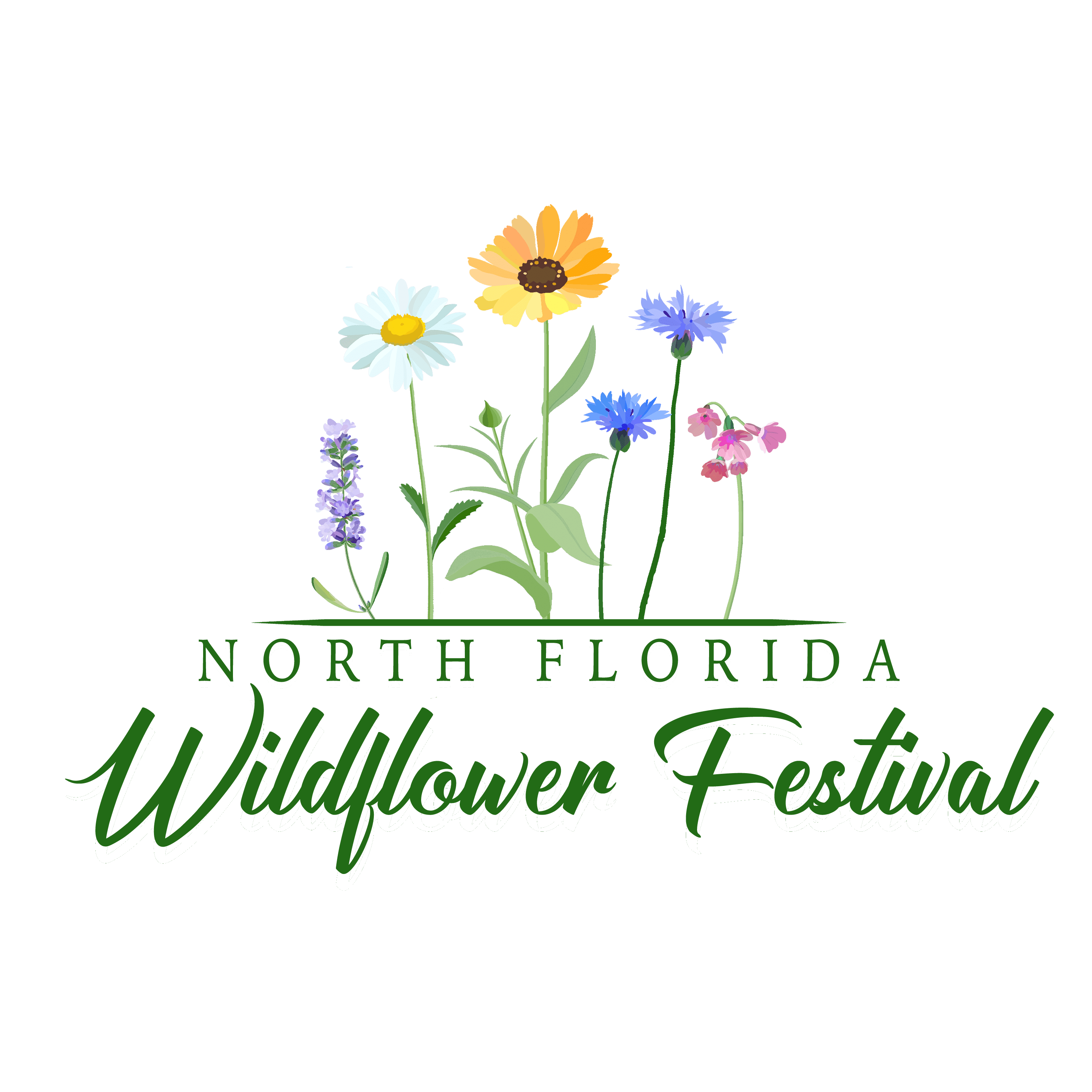 North Florida Wildflower Festival Calhoun County Chamber of Commerce