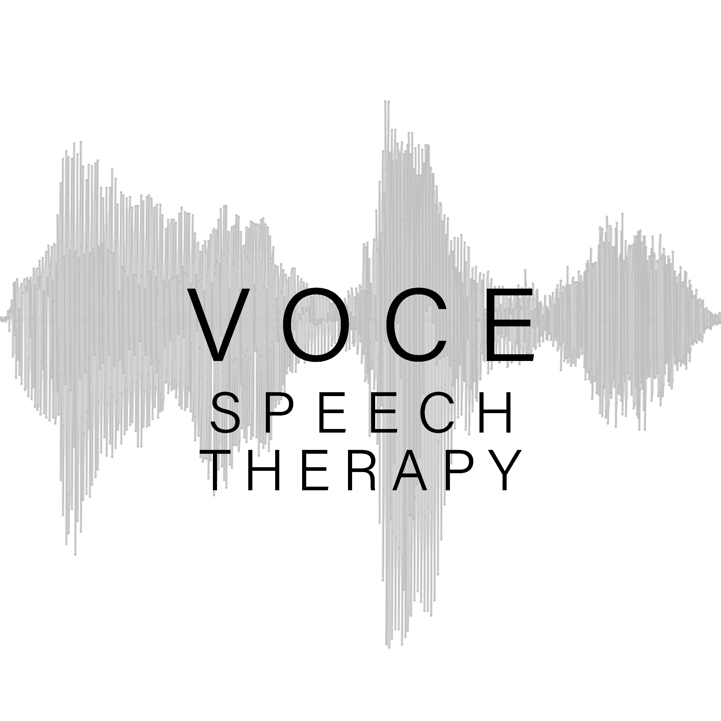 Gray sound wave with Voce Speech Therapy logo in black