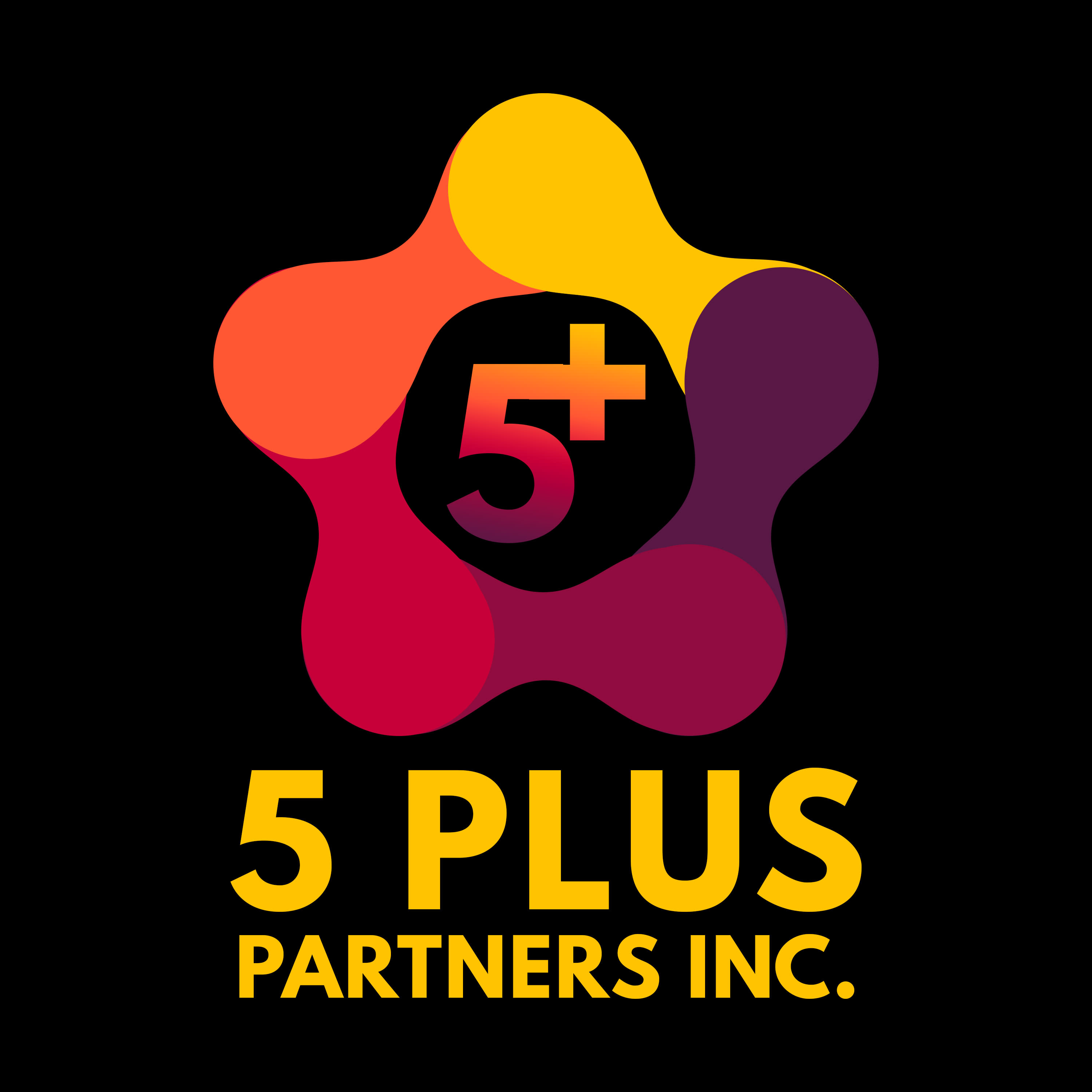 5 Plus Partners Inc.