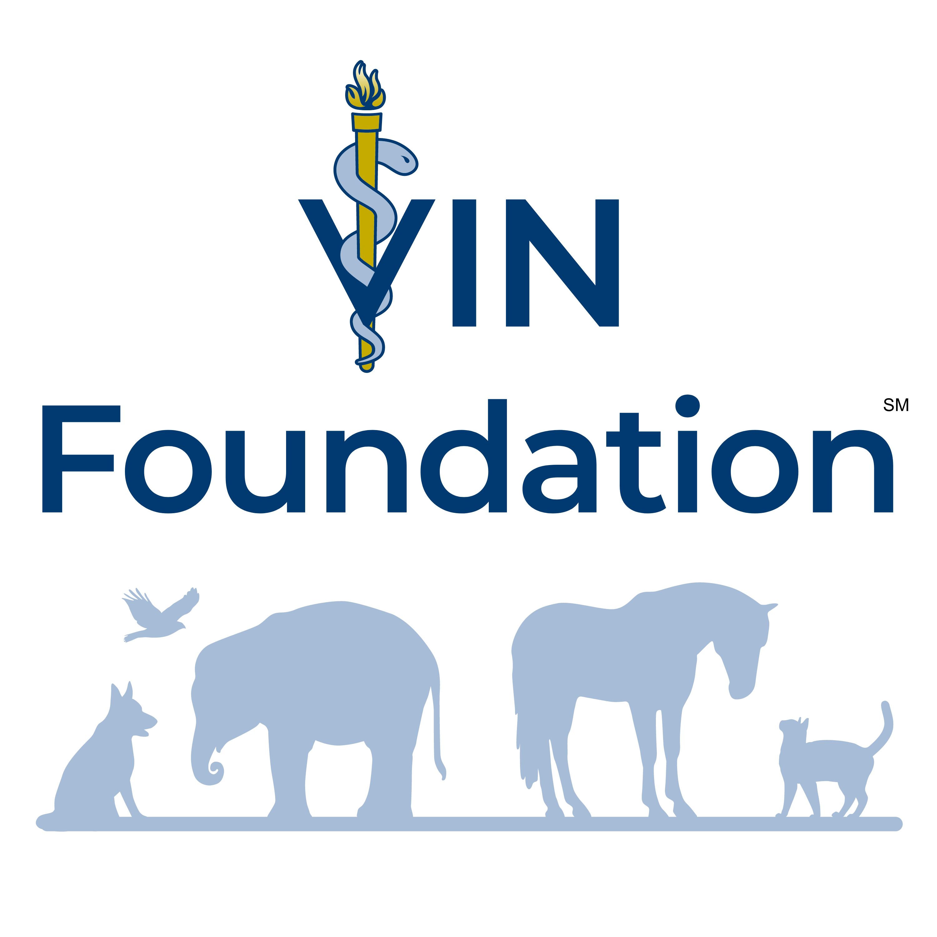 VIN Foundation