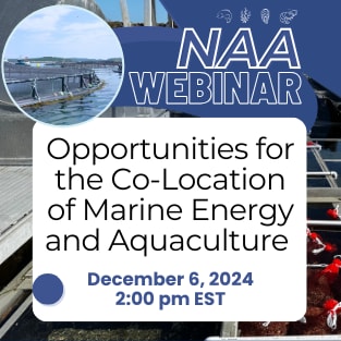 naa webinar