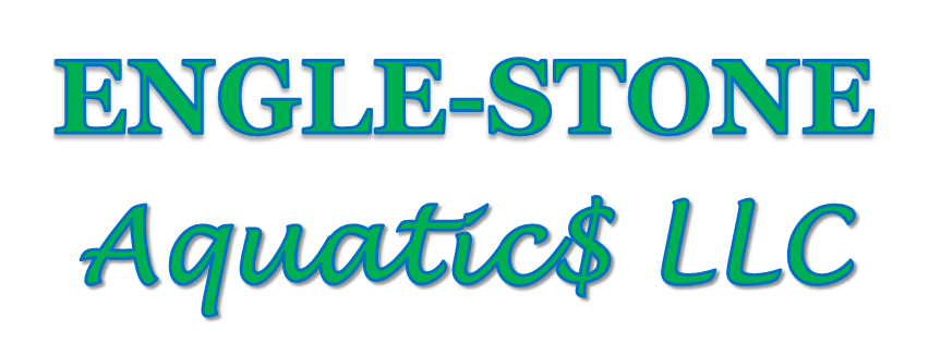 engle stone