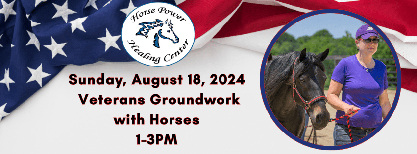 Veterans Groundwork with Horses at Horse Power Healing Center