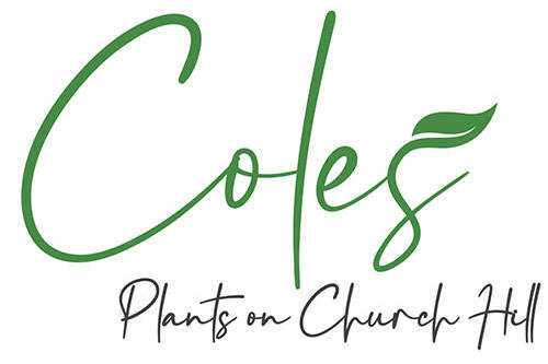 Coles Plants on Church HIll