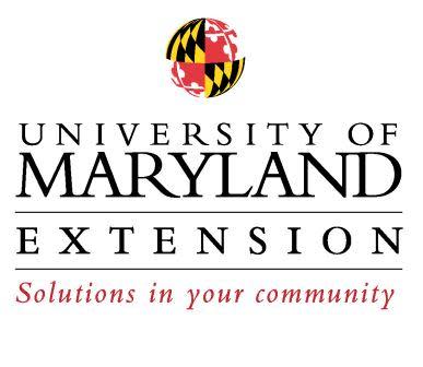university of maryland