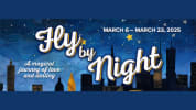 Title of show set against a starry night with a cityscape behind.